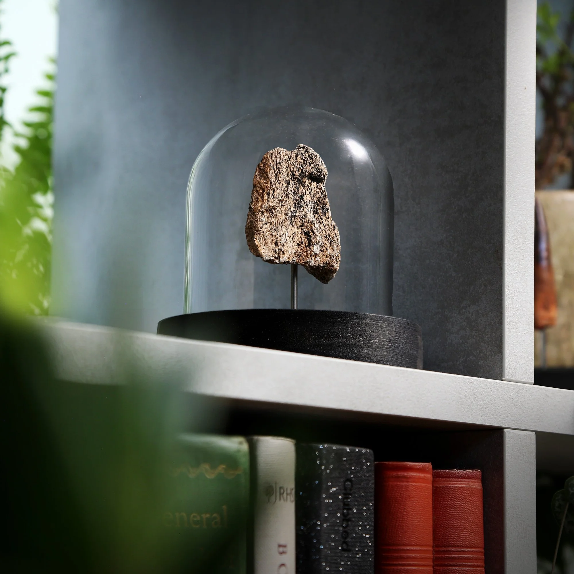 mammoth-bone-10x10-2nd.jpg