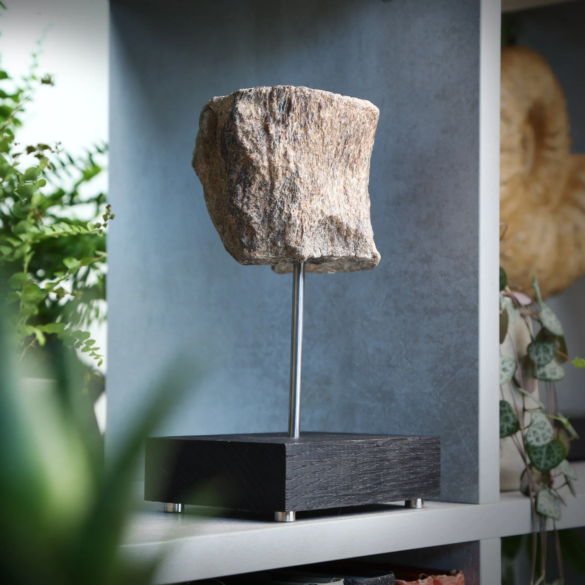 plesiosaur-bone-stand-2nd.jpg