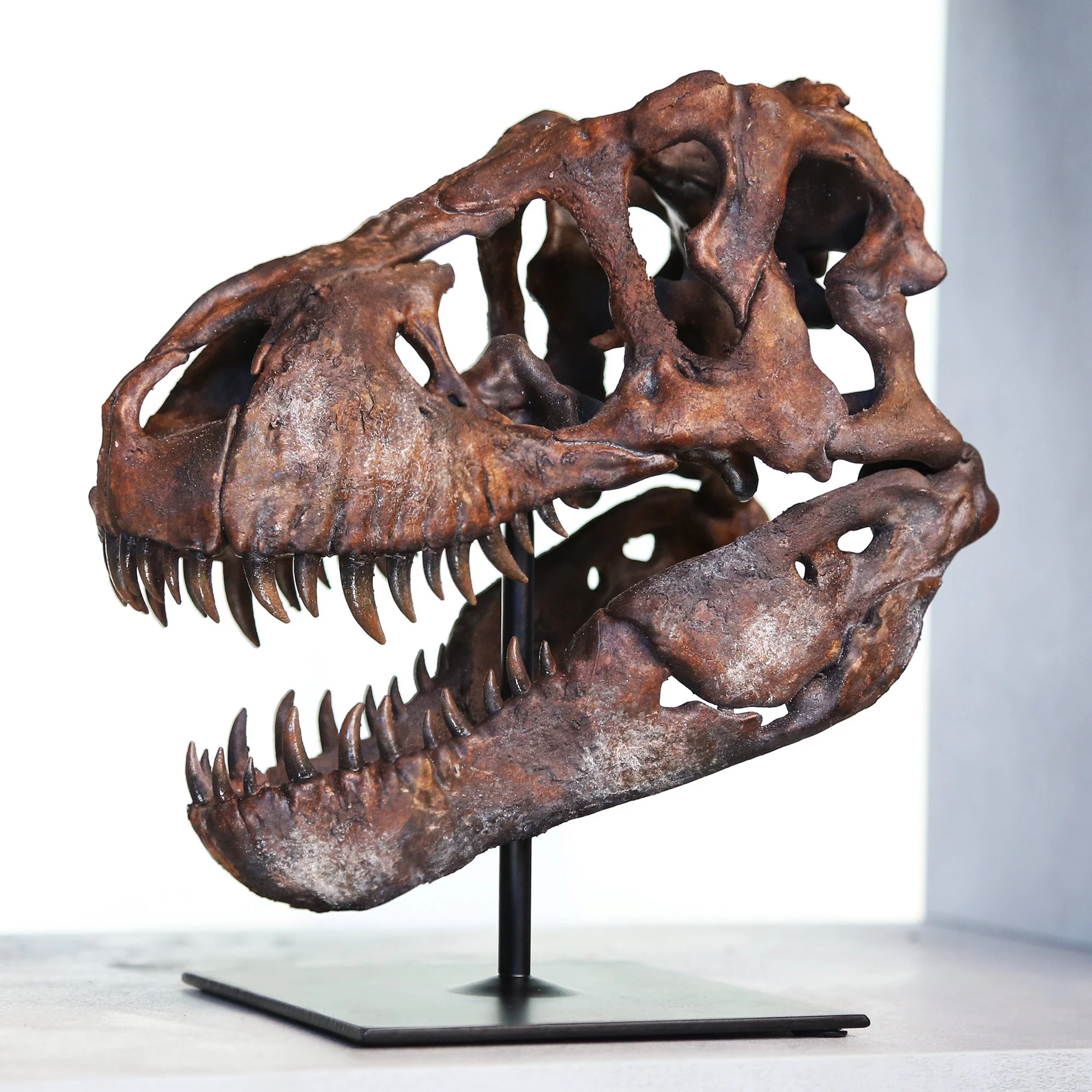 T-Rex-mwekf.jpg