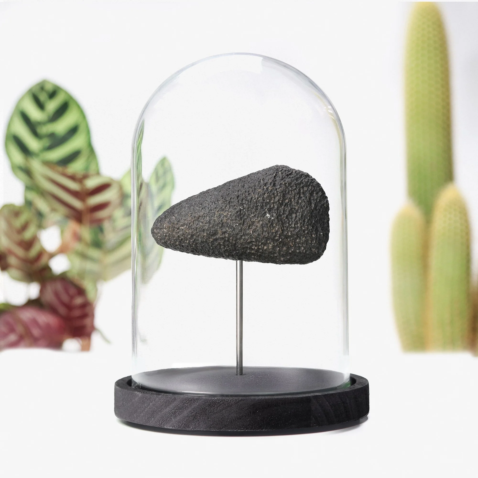 neolithic-axe-bell-jar-xl-.jpg