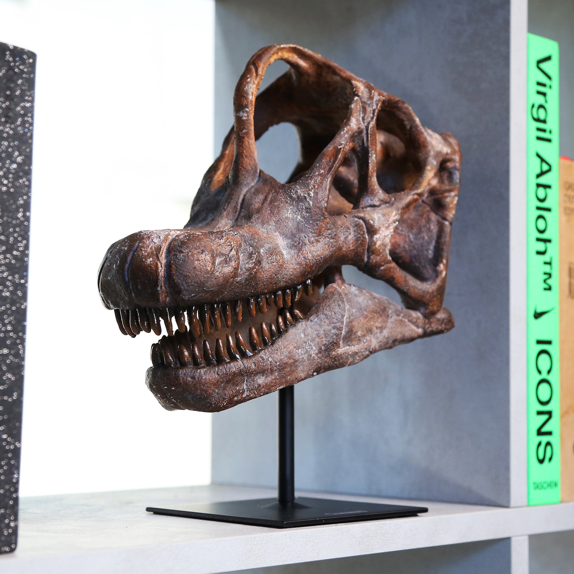 brachyosaurus-product-shot-.jpg