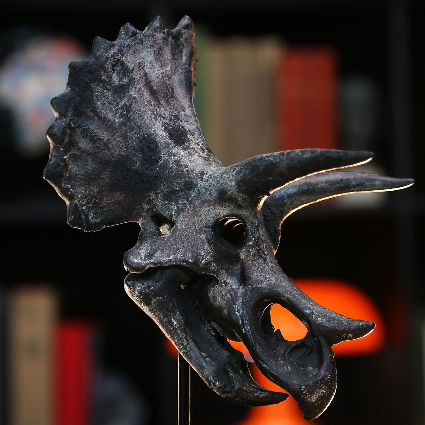 triceratops-support-2025-.jpg