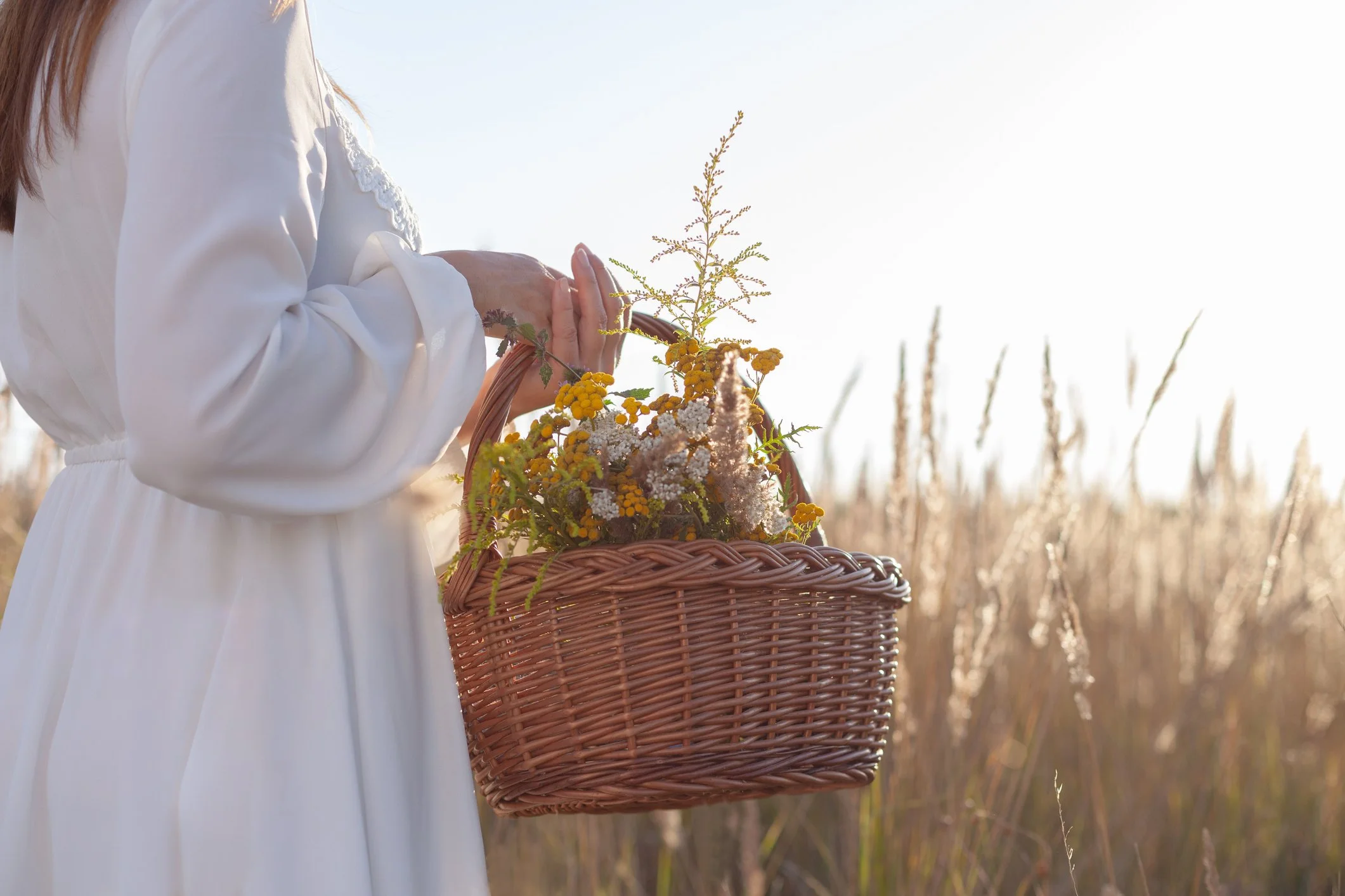 Spring After Winter: Where Healing Begins Again