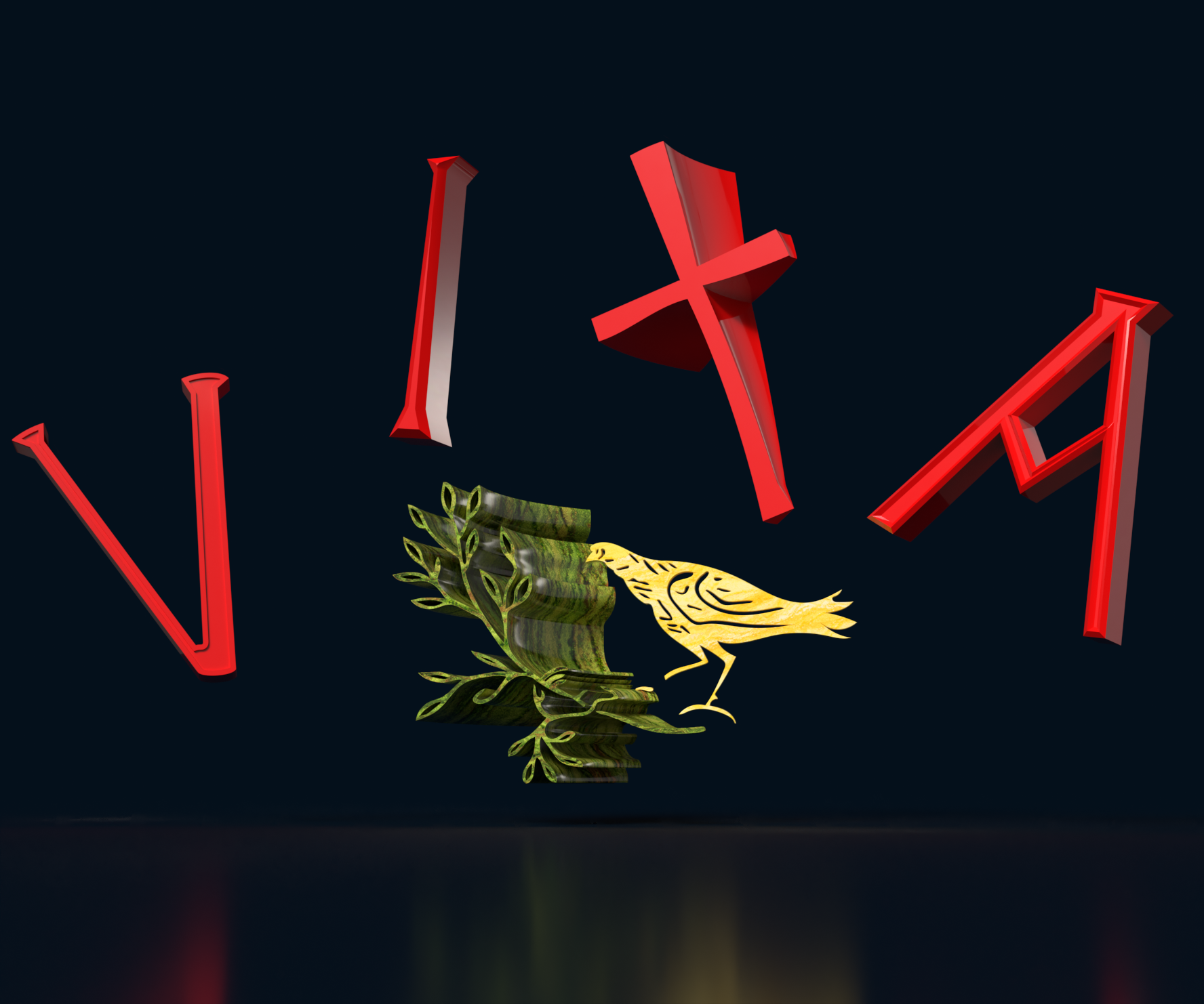 Vita_Angle1.png