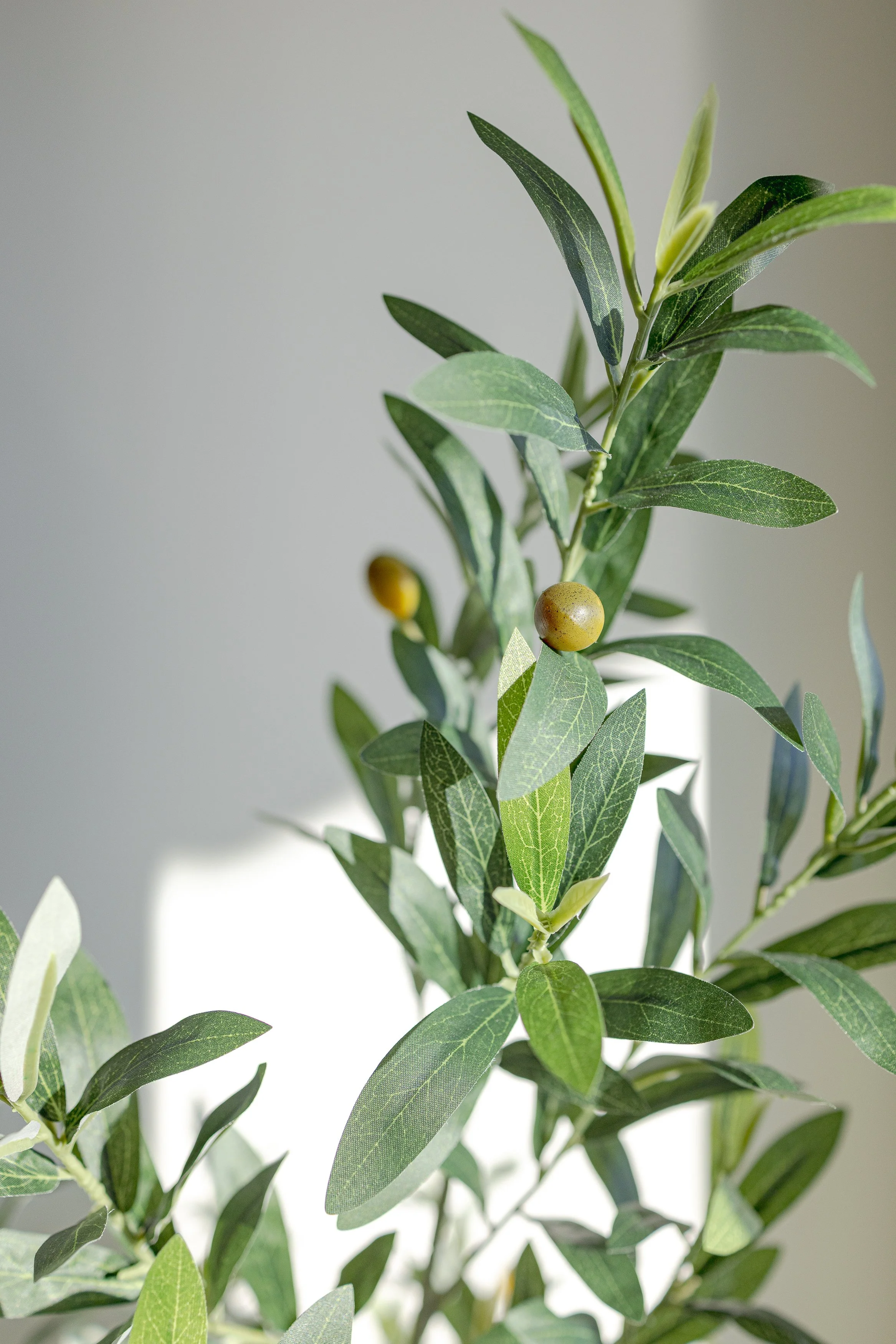 Movala Kelowna Rentals Eden_Living Room_593.jpg