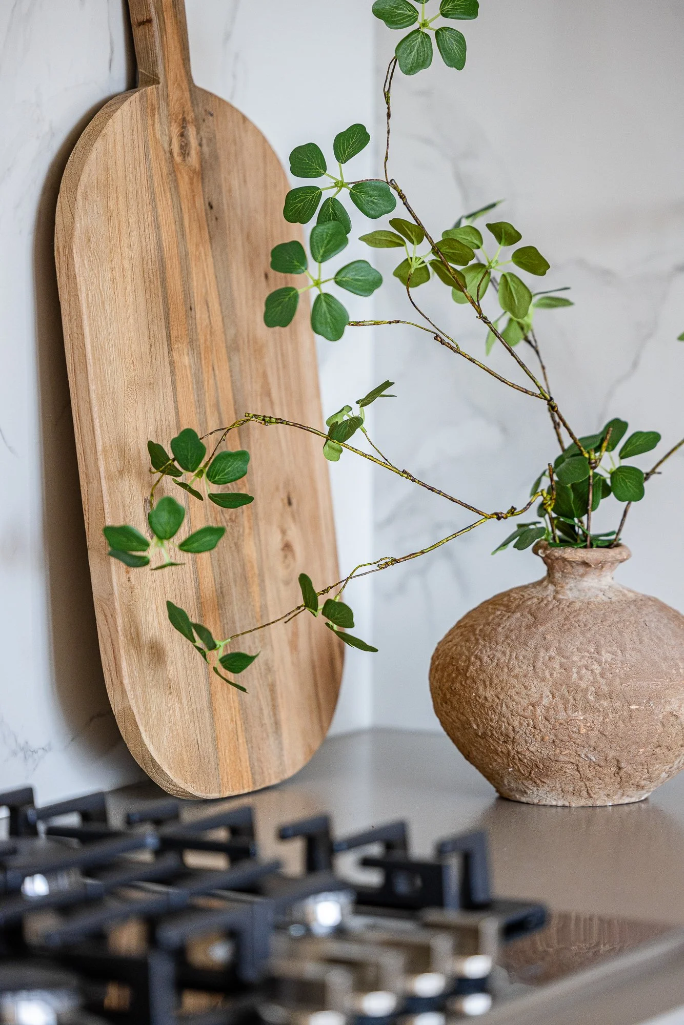 Kelowna_Vacation_Rental_Aqua_Waterfront_Bowen_Kitchen_71 2.jpg