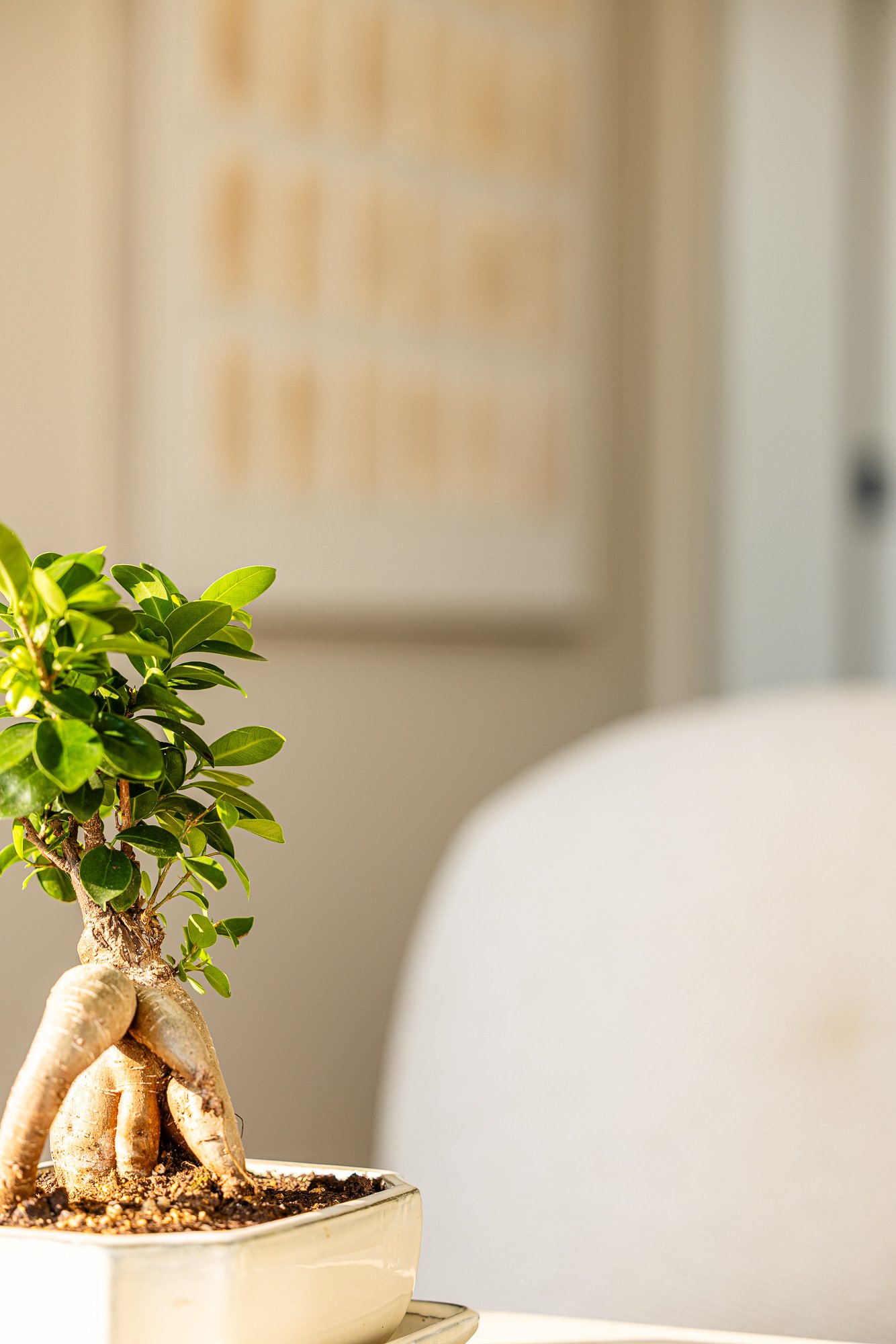 Kelowna_Vacation_Rental_Aqua_Waterfront_Bowen_Living_Room_82.jpg