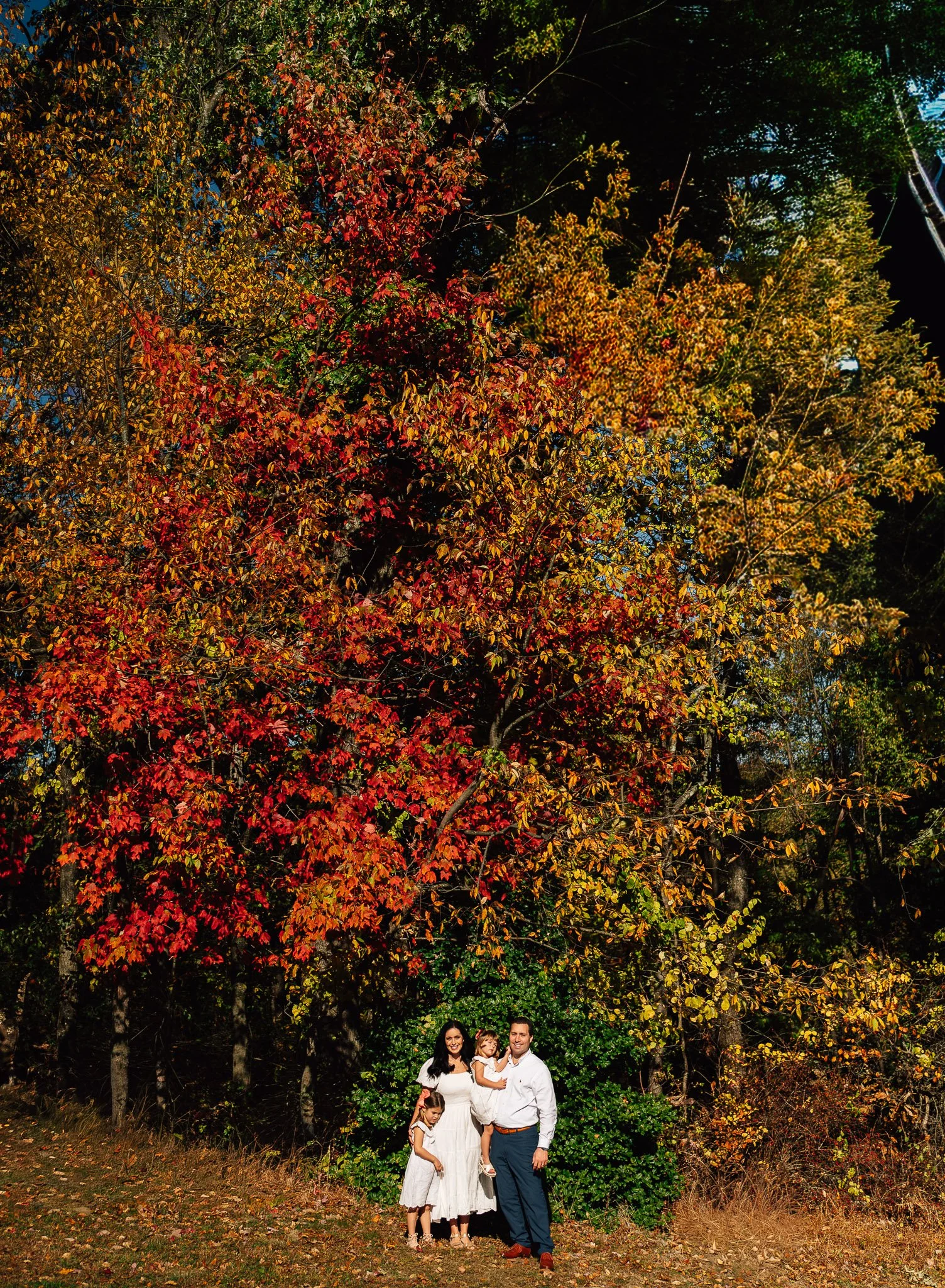 Pittsburgh Portrait Photography-4.jpg