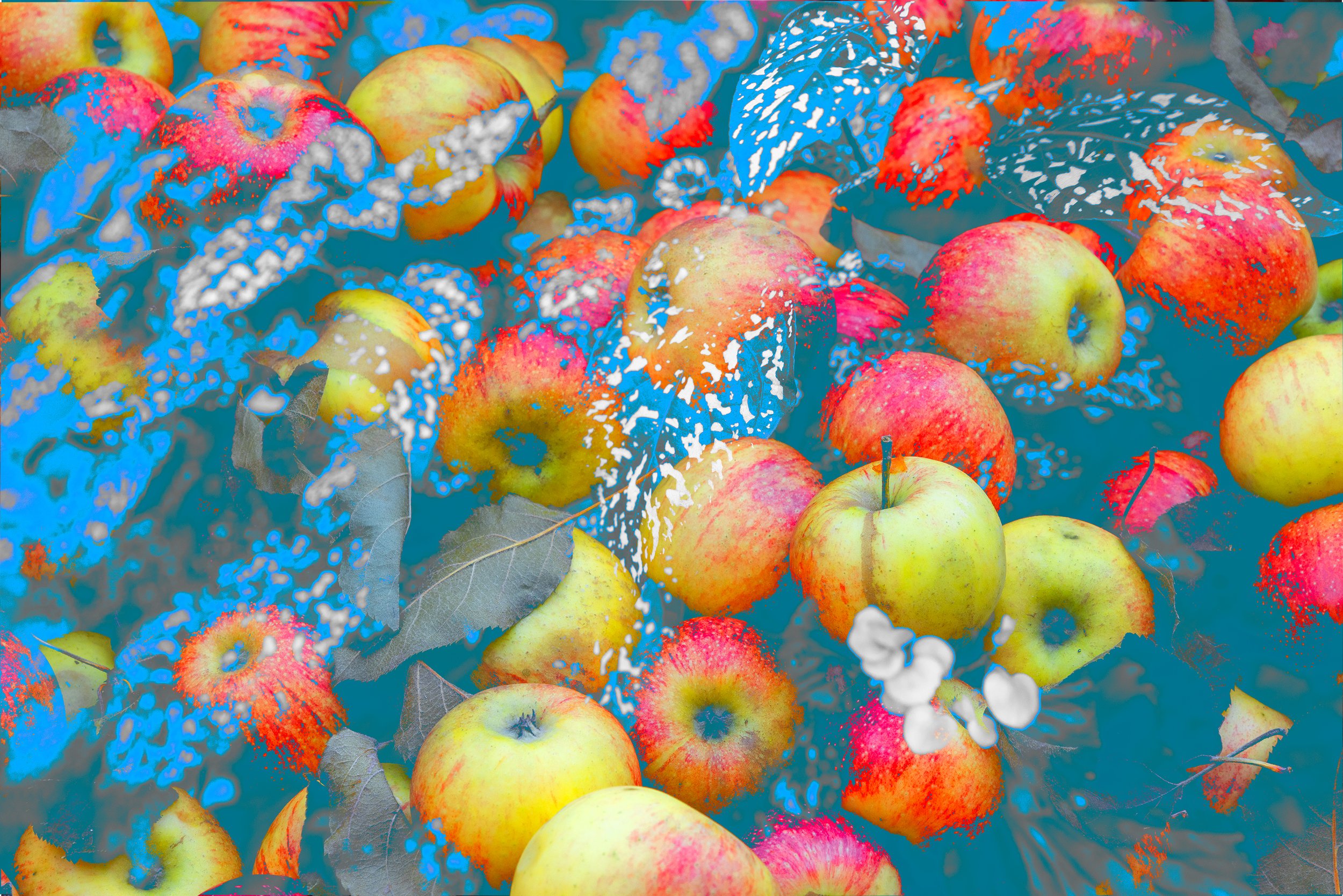 “Harvest in Blue”