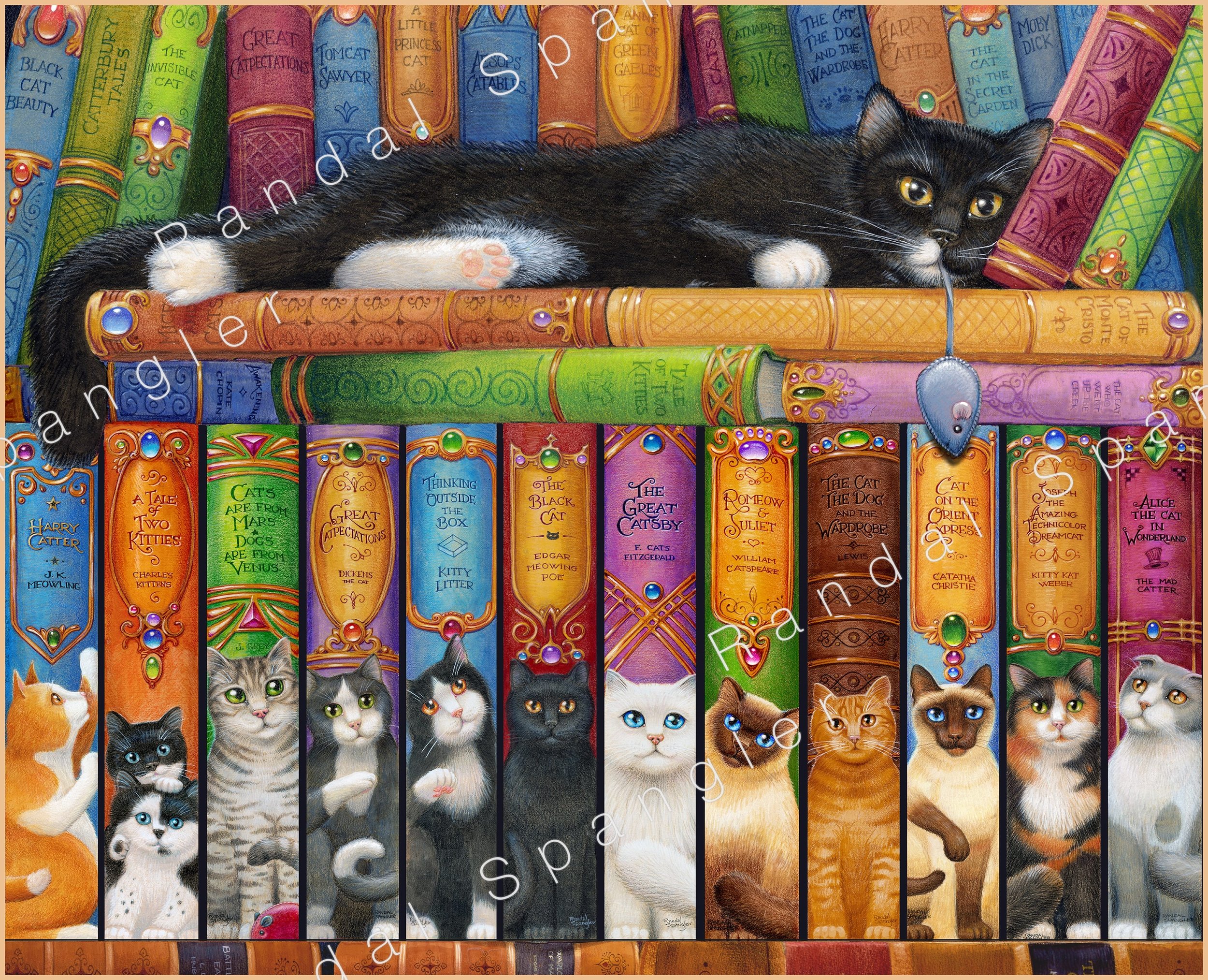 Коты персонажи книг. Книга котик. Котята на книжной полке. Кошка с книжкой. Полка для книг.