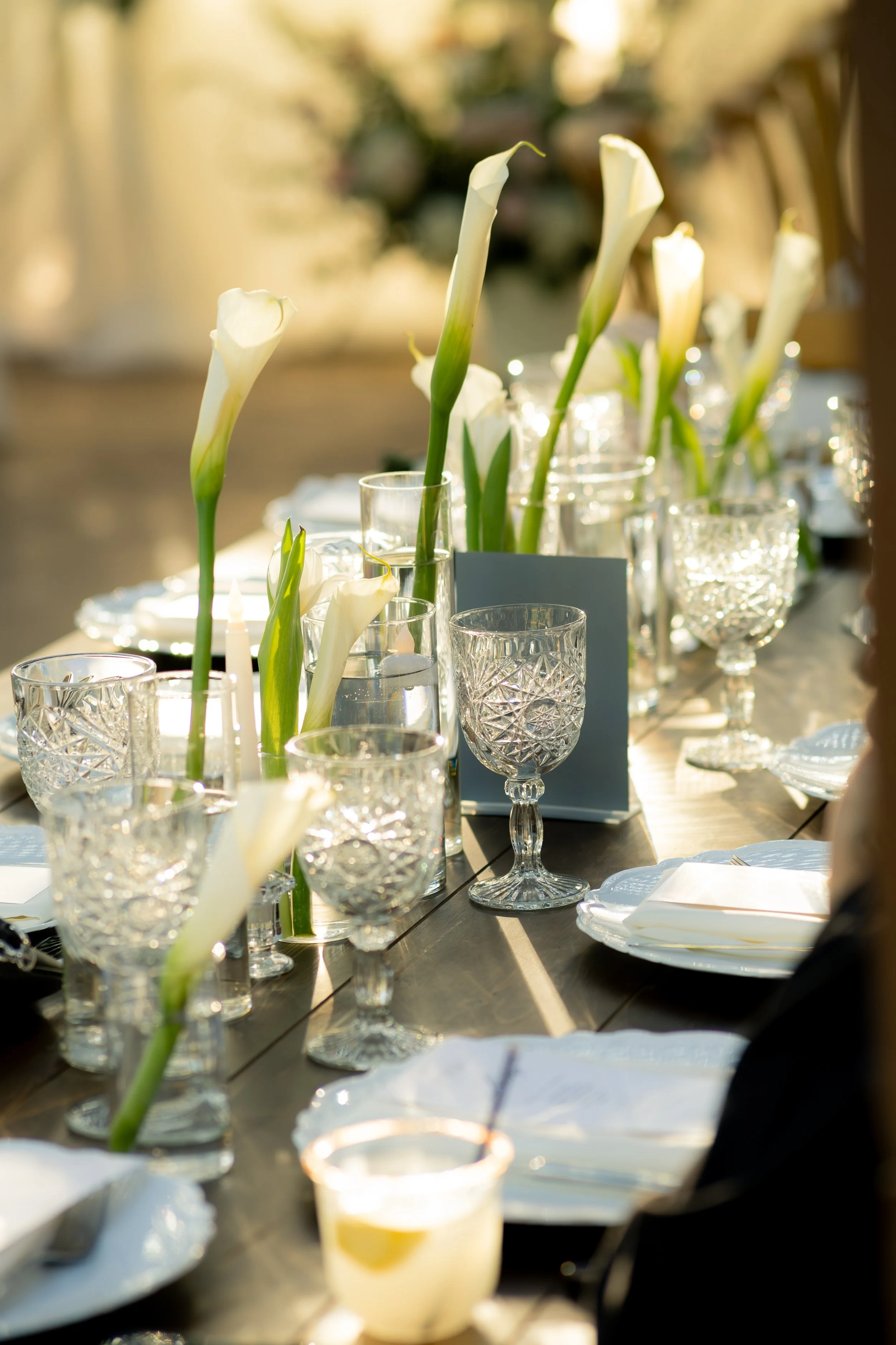 TeDuaWeddingsArianna&Ulises-369.jpg
