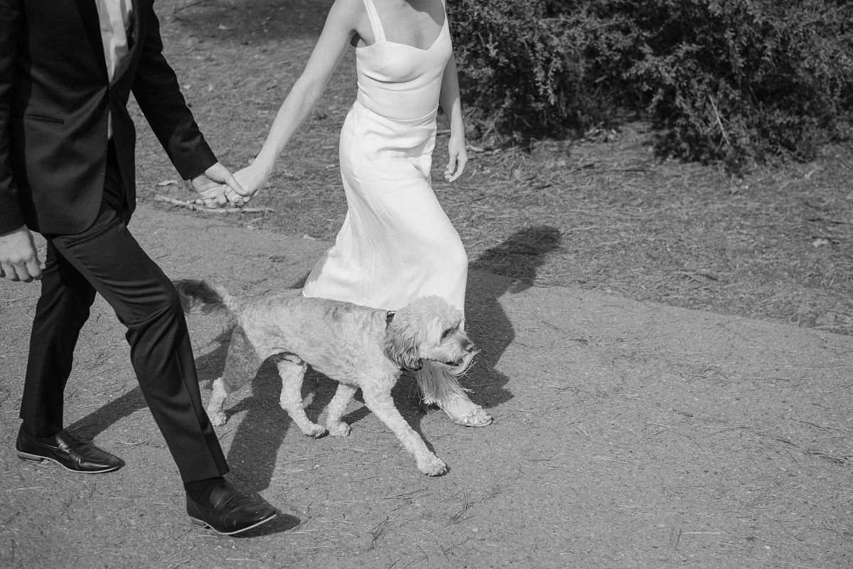 eneastrora_engagement_shoot_Napa_valley-36.jpg