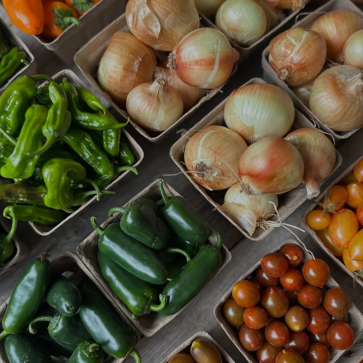 Welp&hellip; life&rsquo;s been a bumpy road for us lately. Dominic shattered his tibia while wakeboarding and had to have a titanium plate and 8 pins installed into his knee. Needless to say, the recovery process has been lengthy. The good news is th