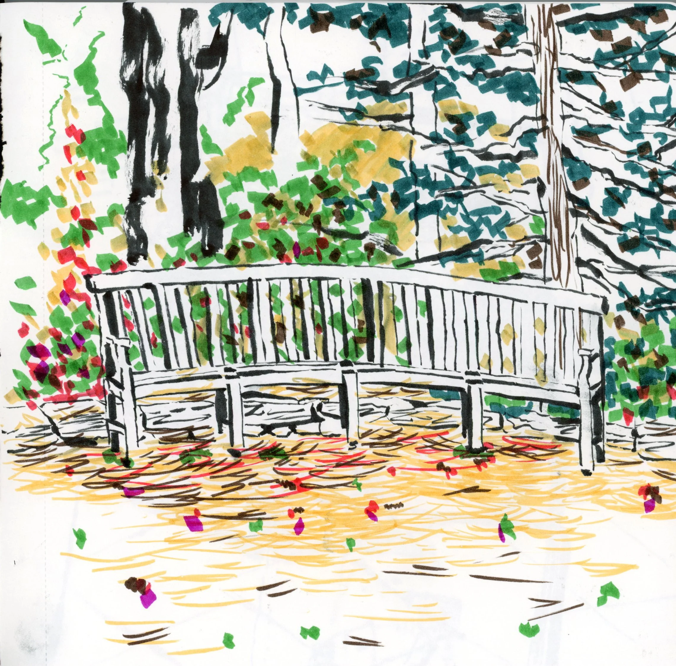 sketch - cornell.jpg