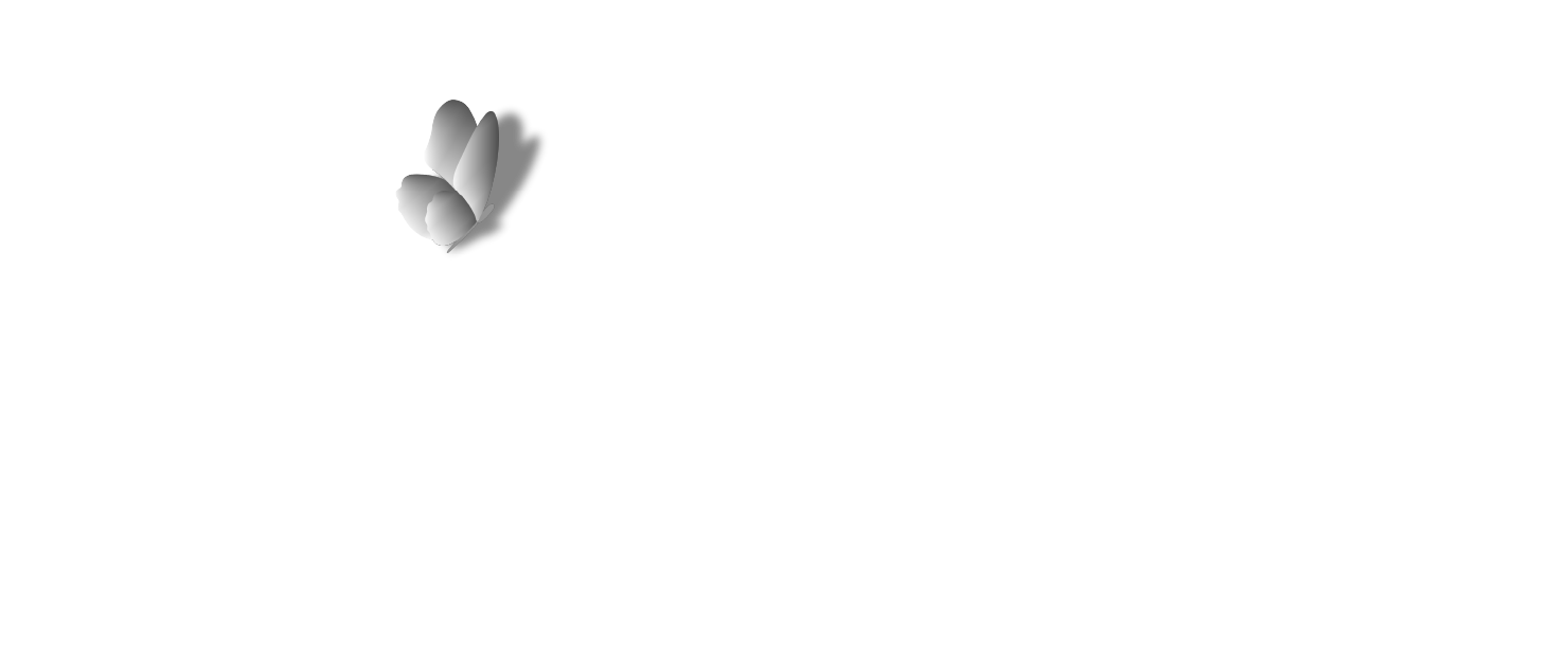 Momenta Finance