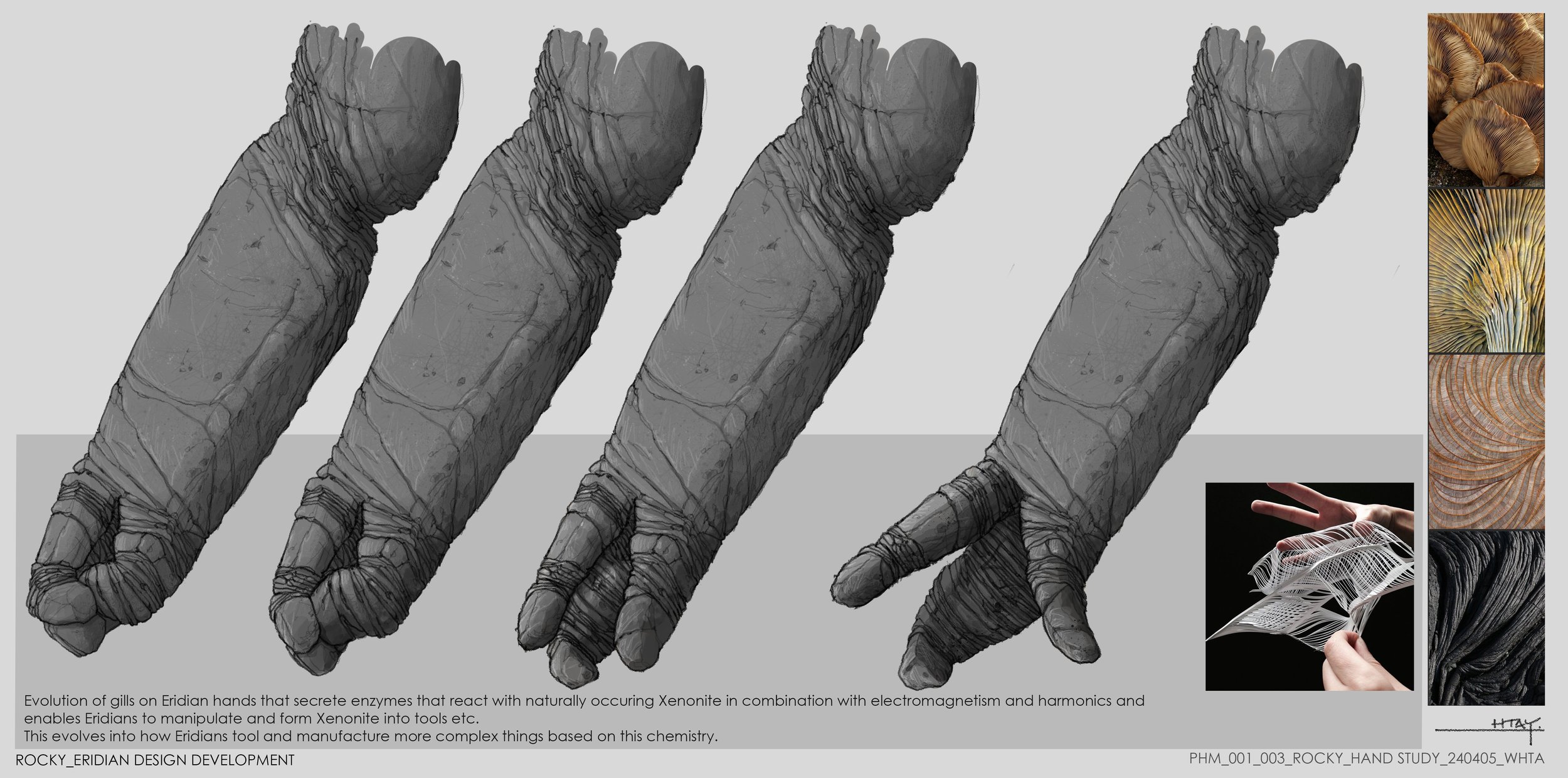 PHM_001_003_ROCKY_HAND STUDY_240405_WHTA.jpg