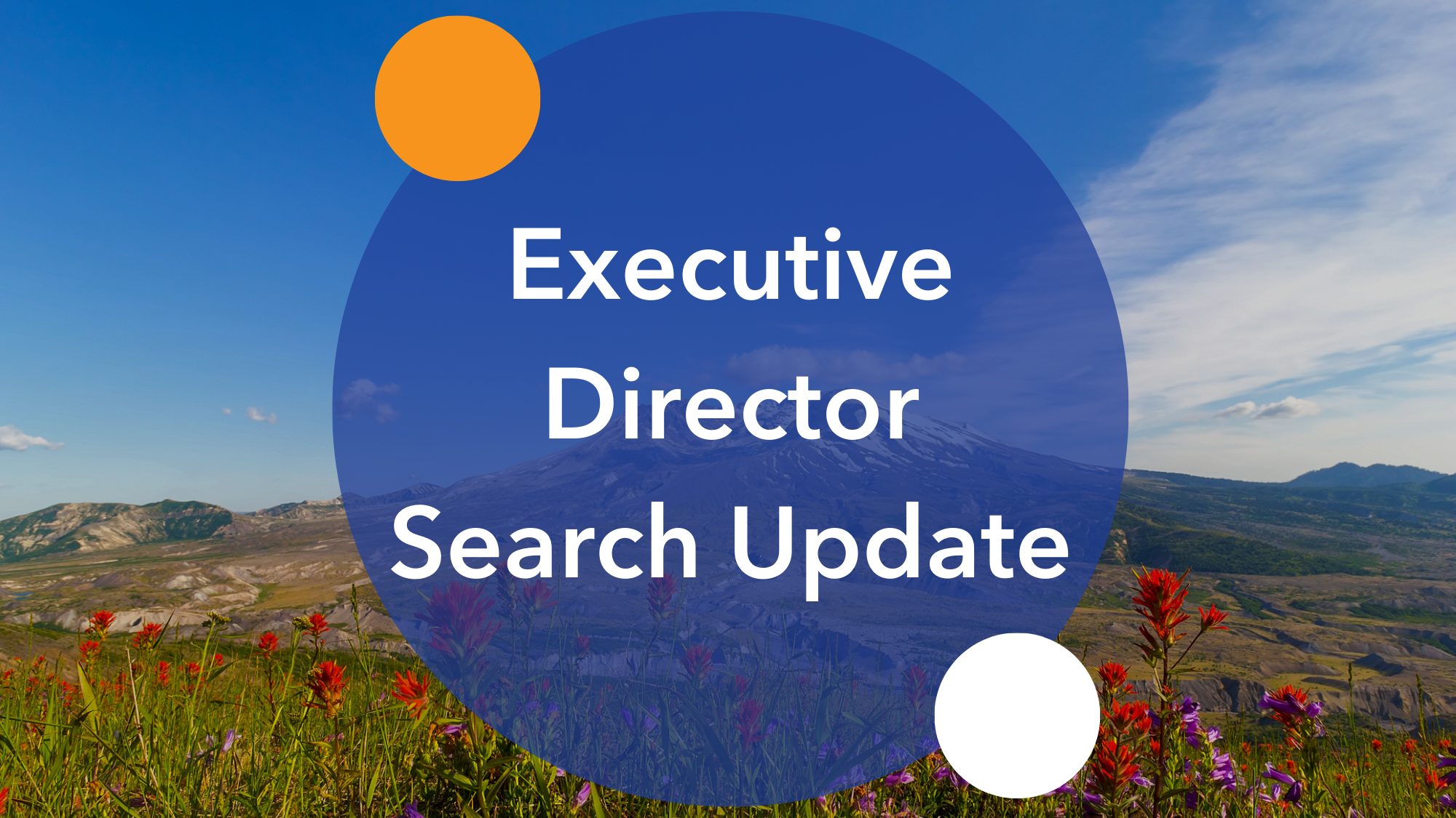 SWACH Executive Director Search Update