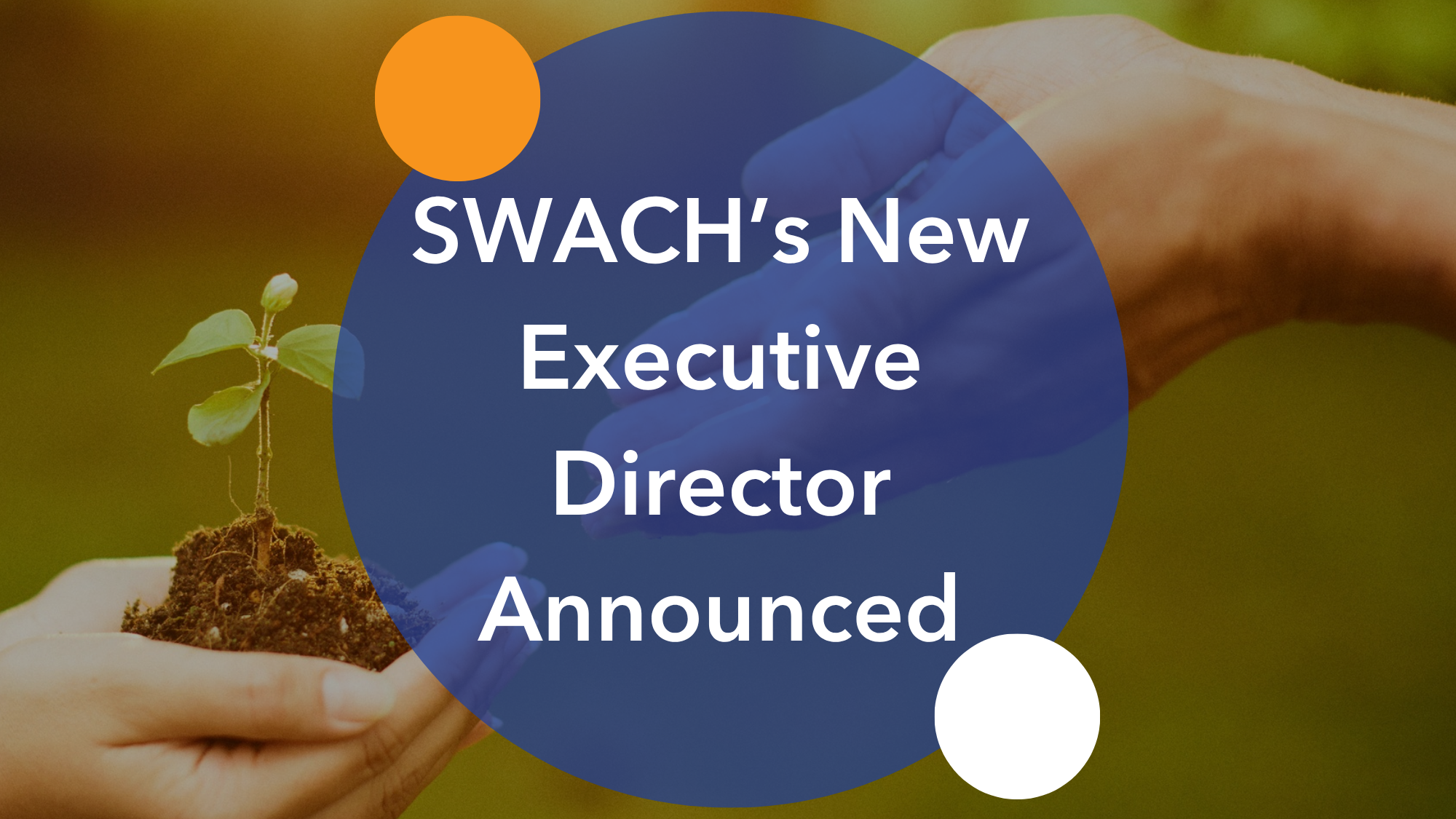 Betsy Larson named SWACH Executive Director