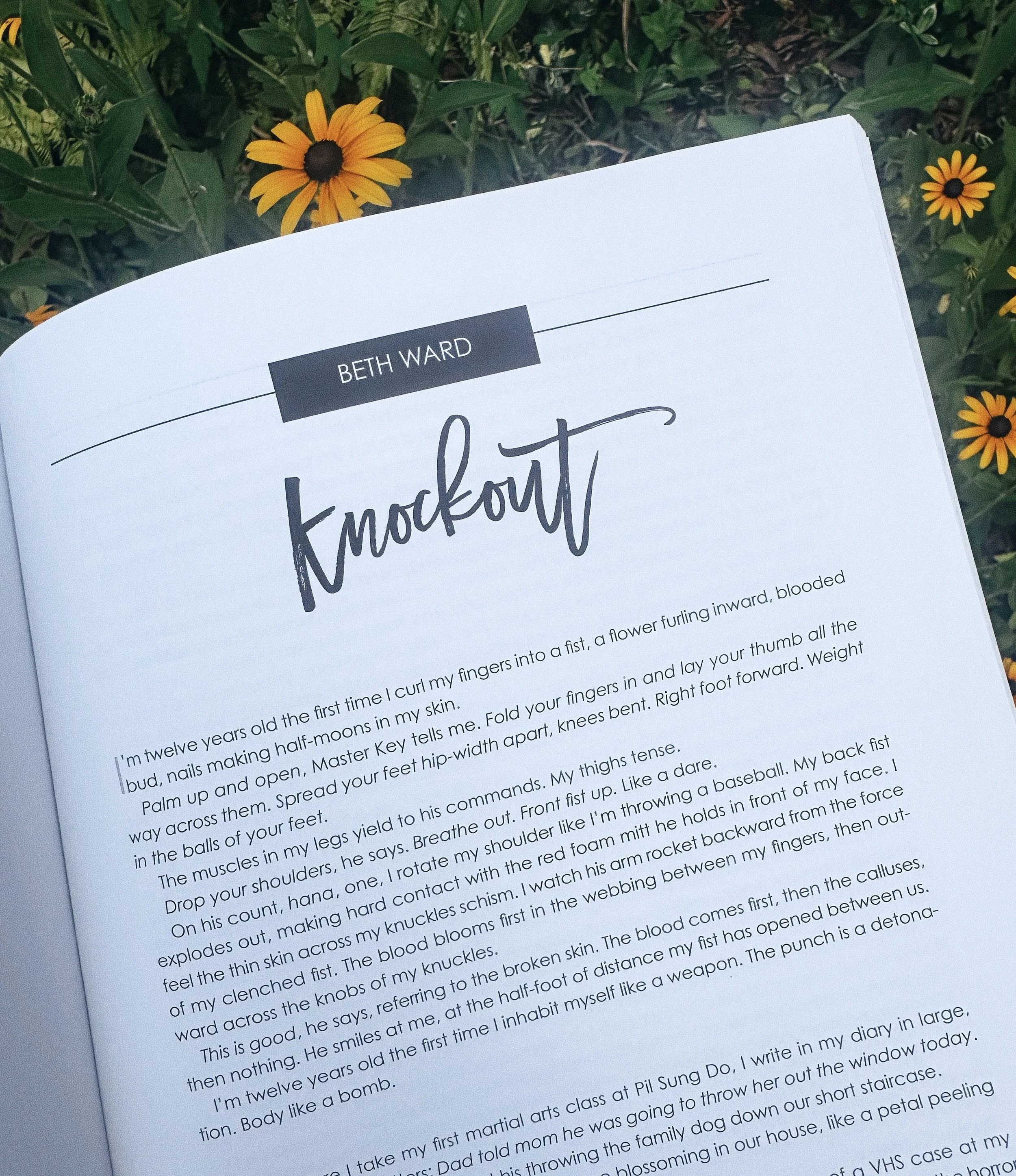 Knockout (Iron Horse Literary Review, print)