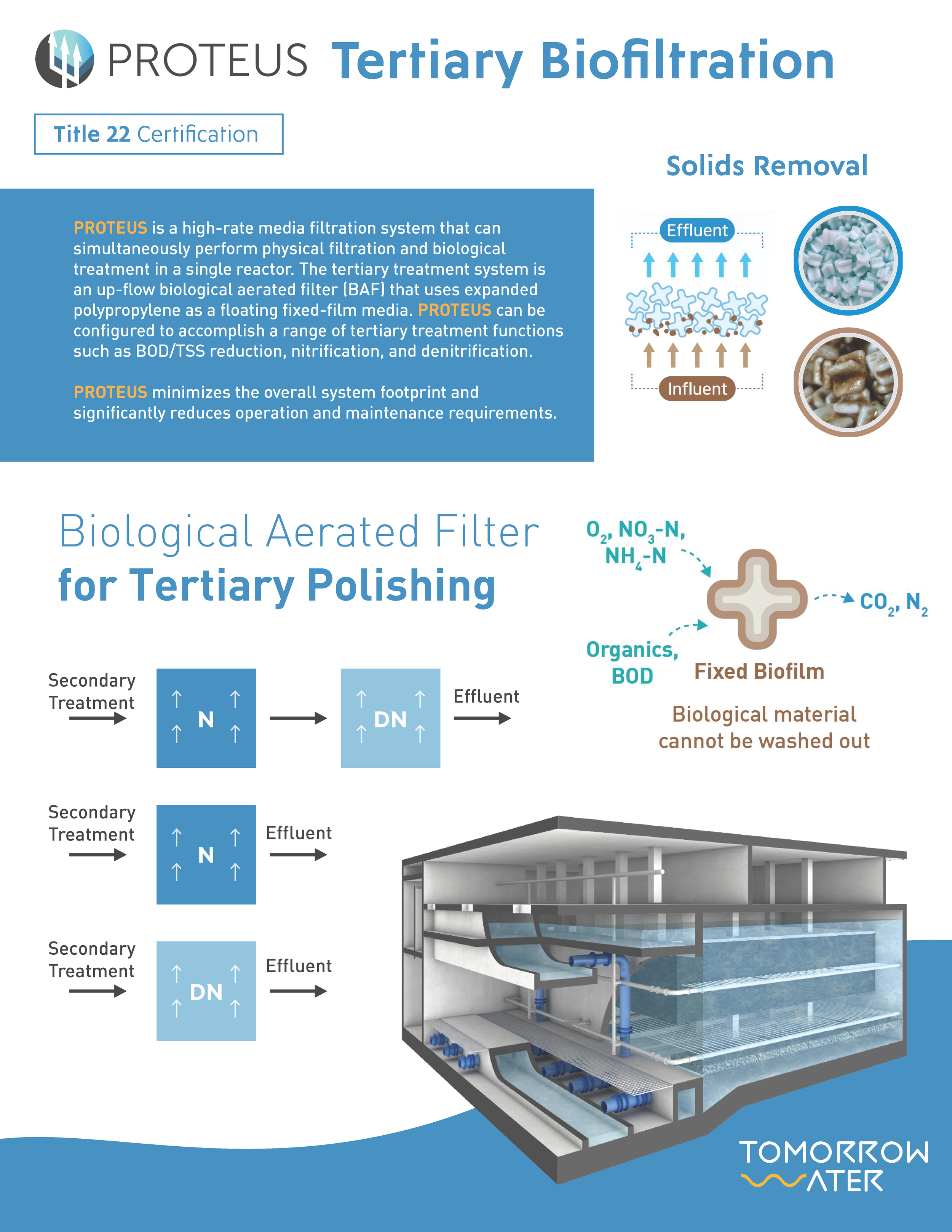 Proteus Tertiary