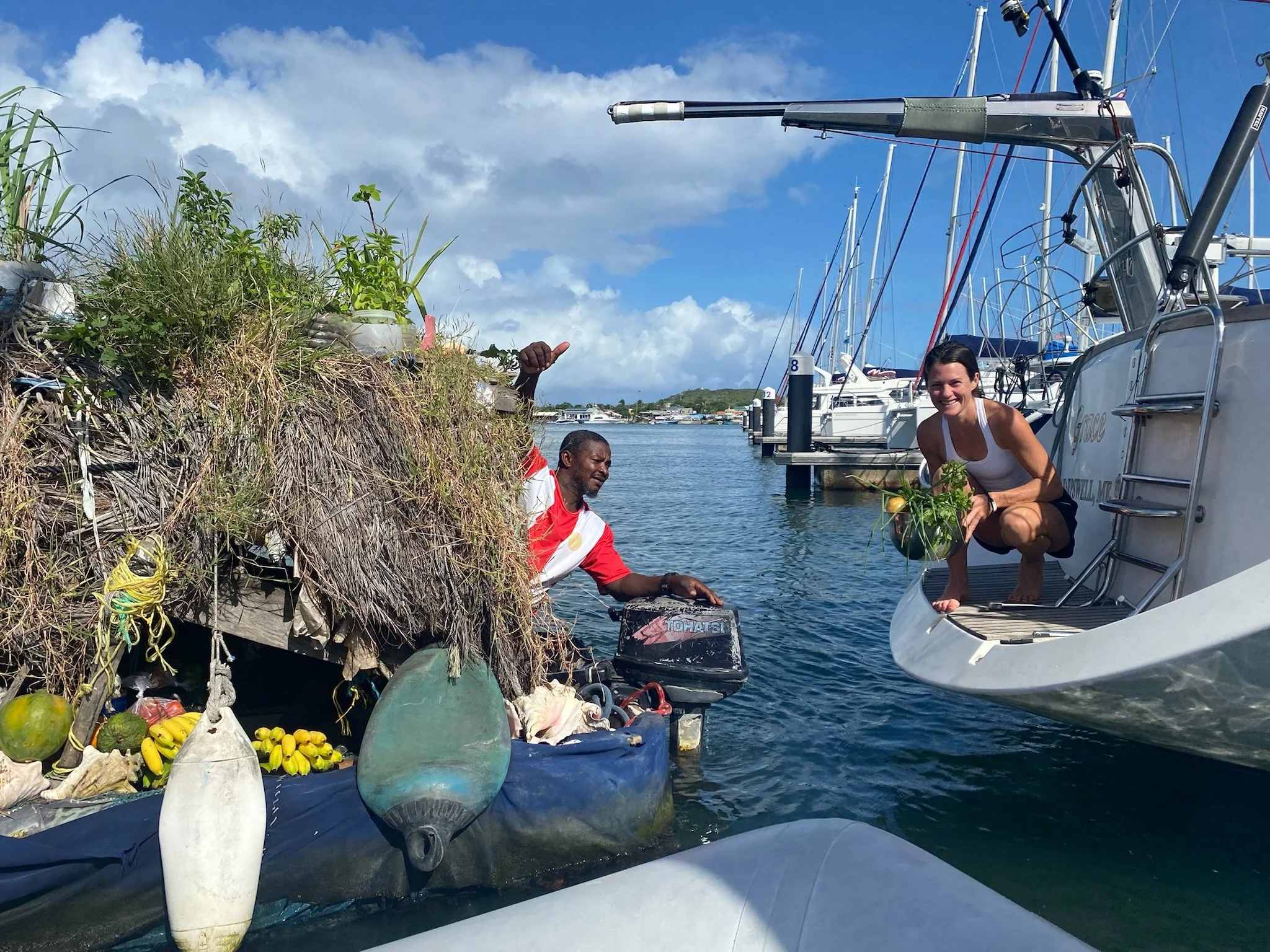Bananas, Grapefruit, Papaya, Mango, Basil and Green Onion-- thanks for the loot Gregory!