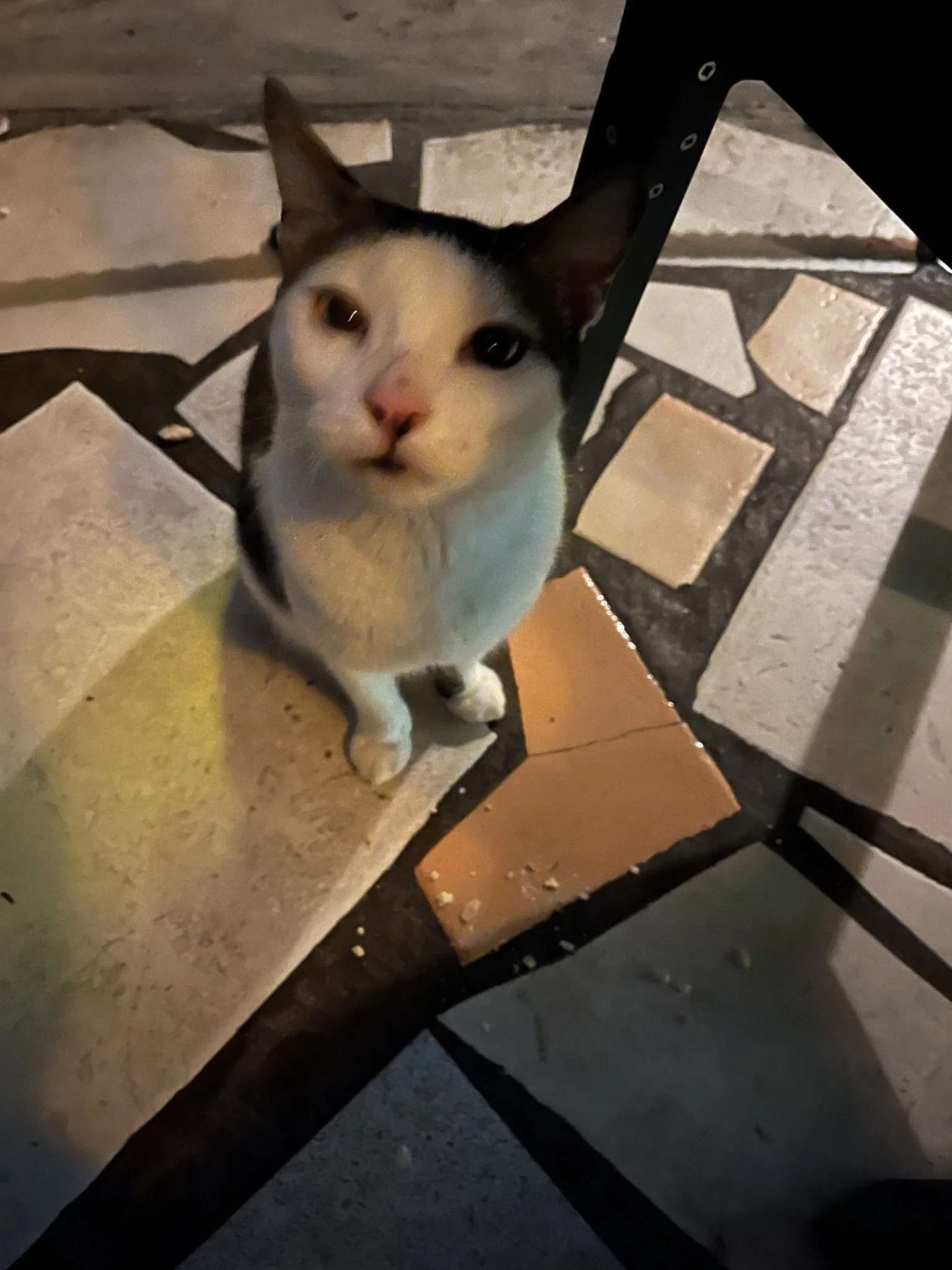 making friends @ Whisper Cove 