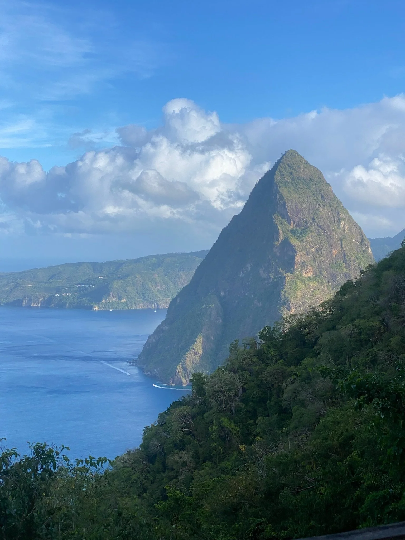 view of Gros Piton from Petite Piton