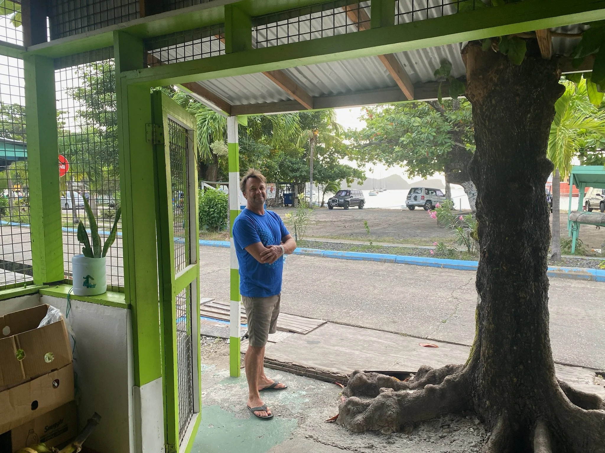 making roots in Bequia