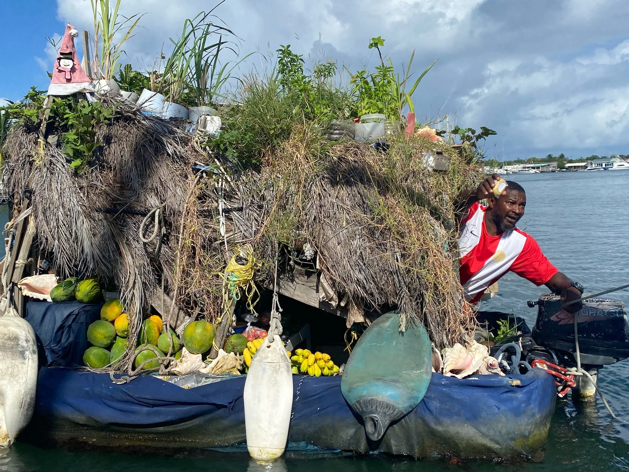 Provisioning in Rodney Bay, Gregory's fresh produce right off the transom of Grace.