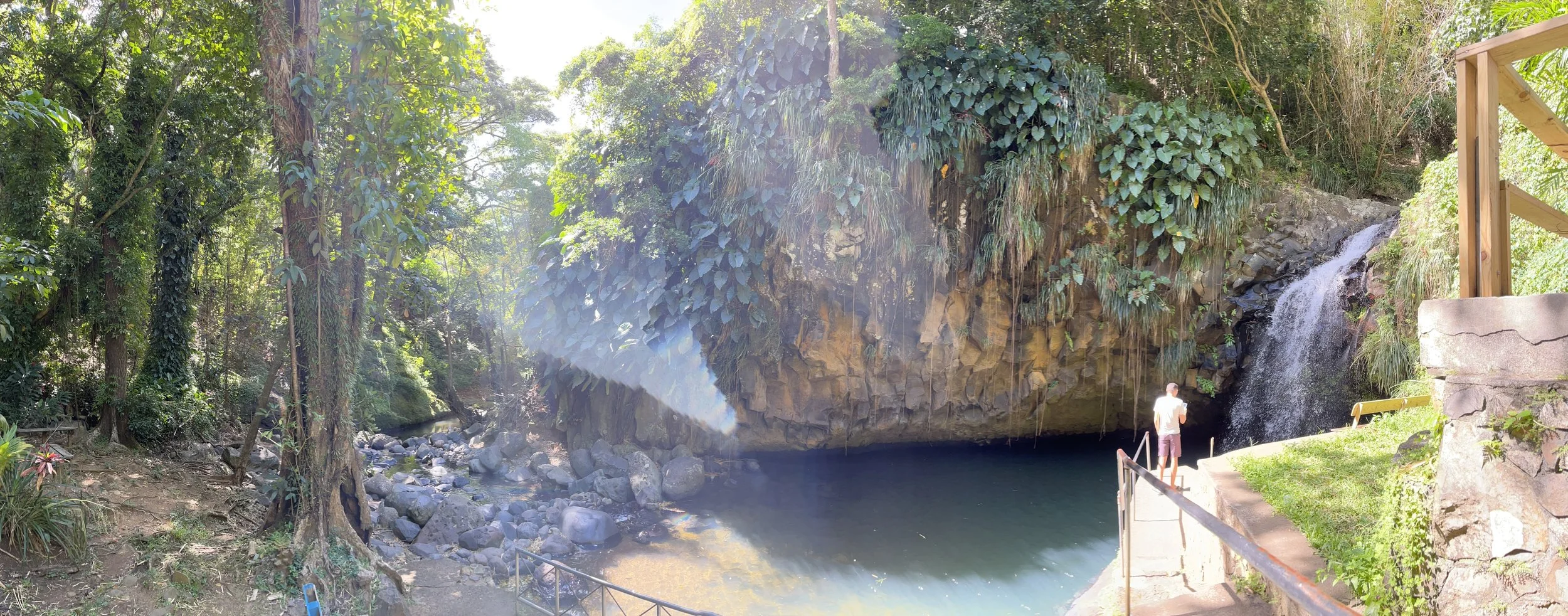 Annandale Waterfall and Forest Park