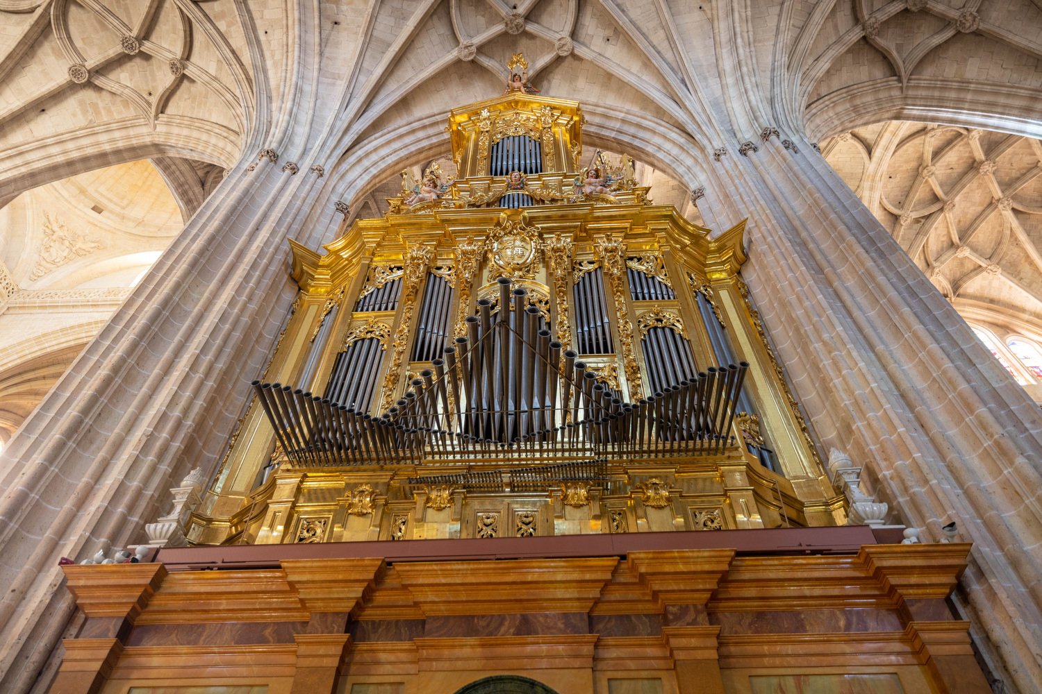 Segovia Cathedral organ.JPG