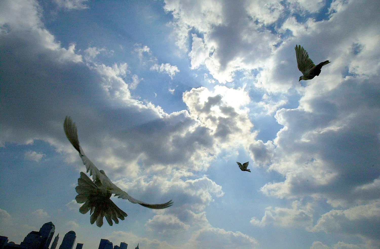 9-11 at World Trade Center 135.JPG