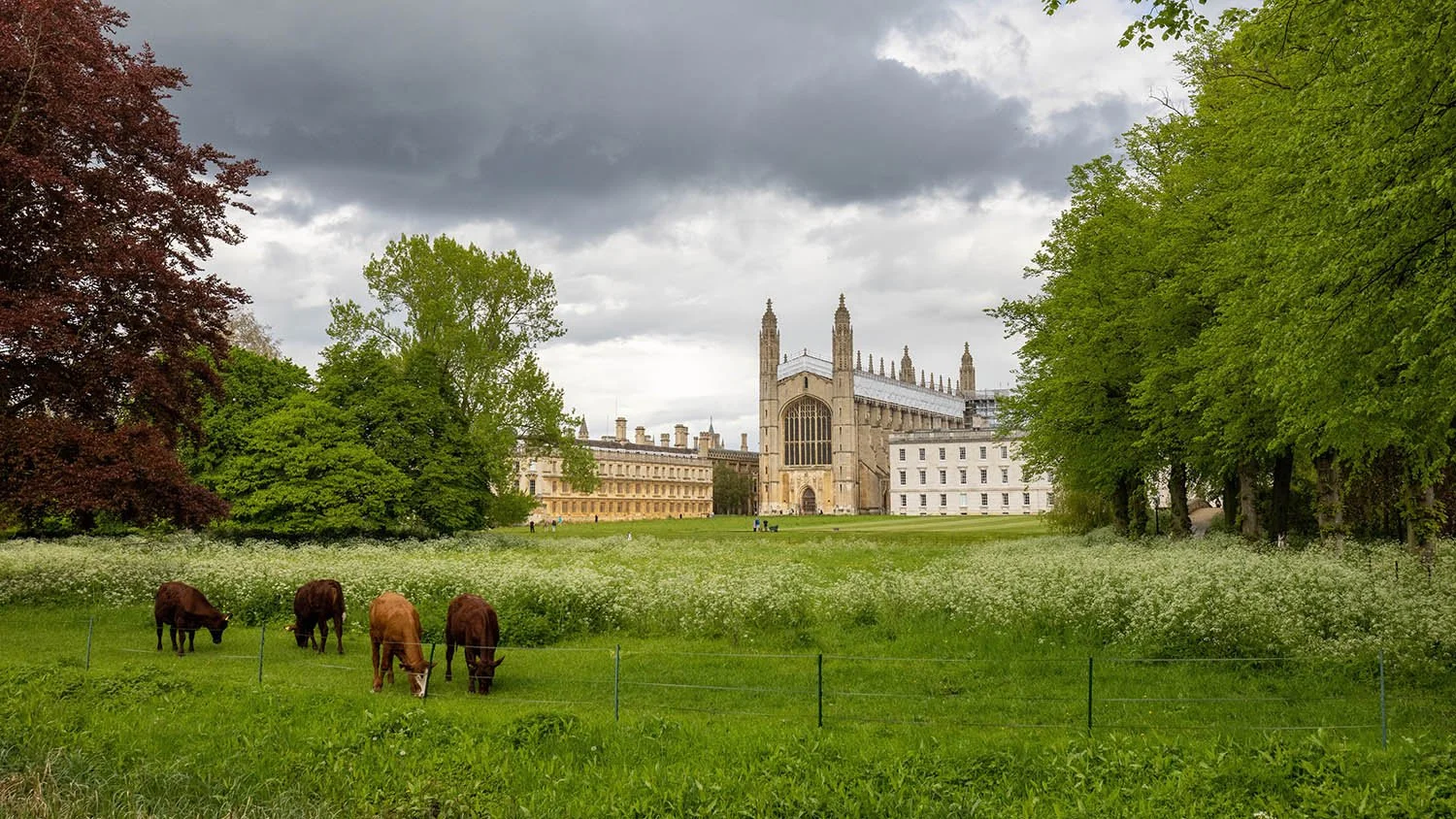 Day Trips from London by Train: Our Favorites