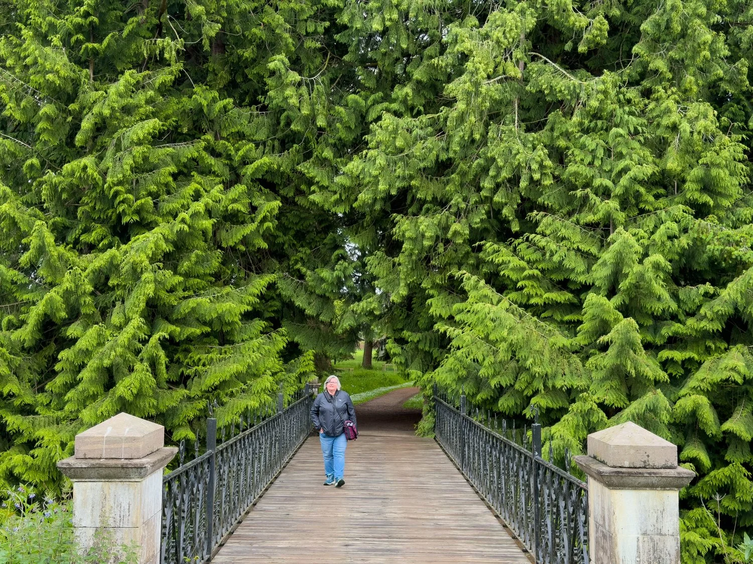 The walk along the Nature Trail and Pinetum