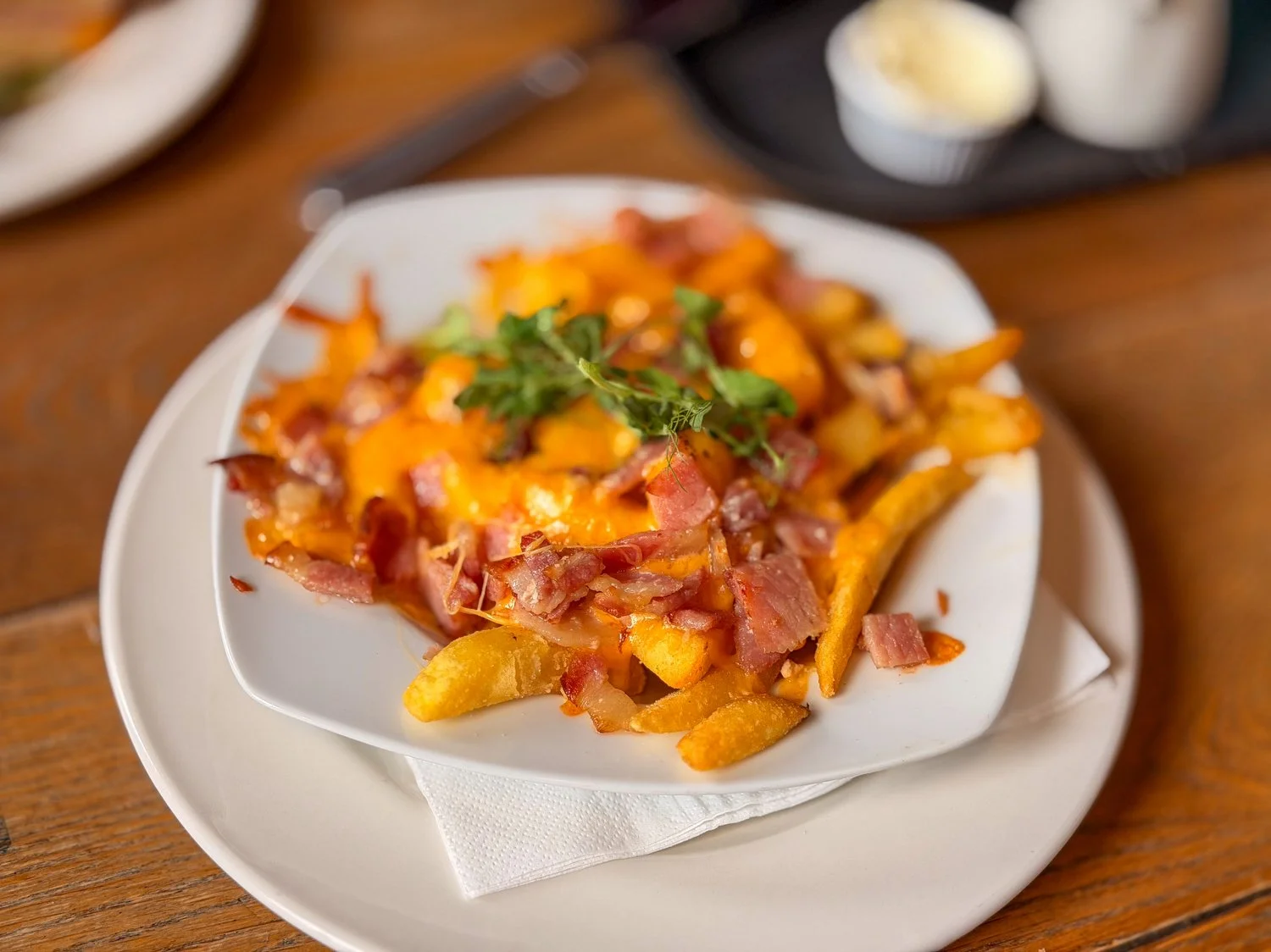 Loaded fries with bacon