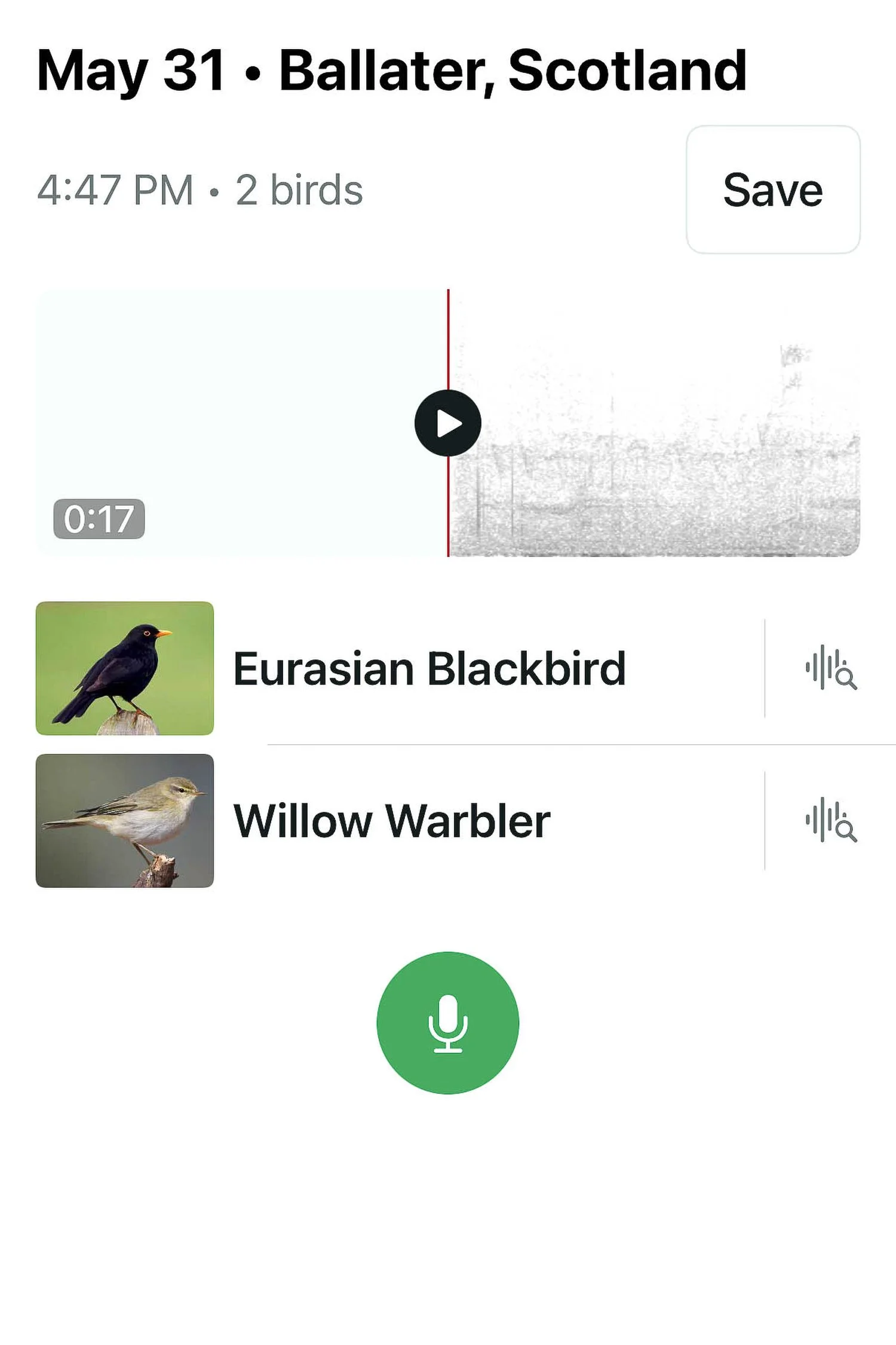 More birdsong at Balmoral