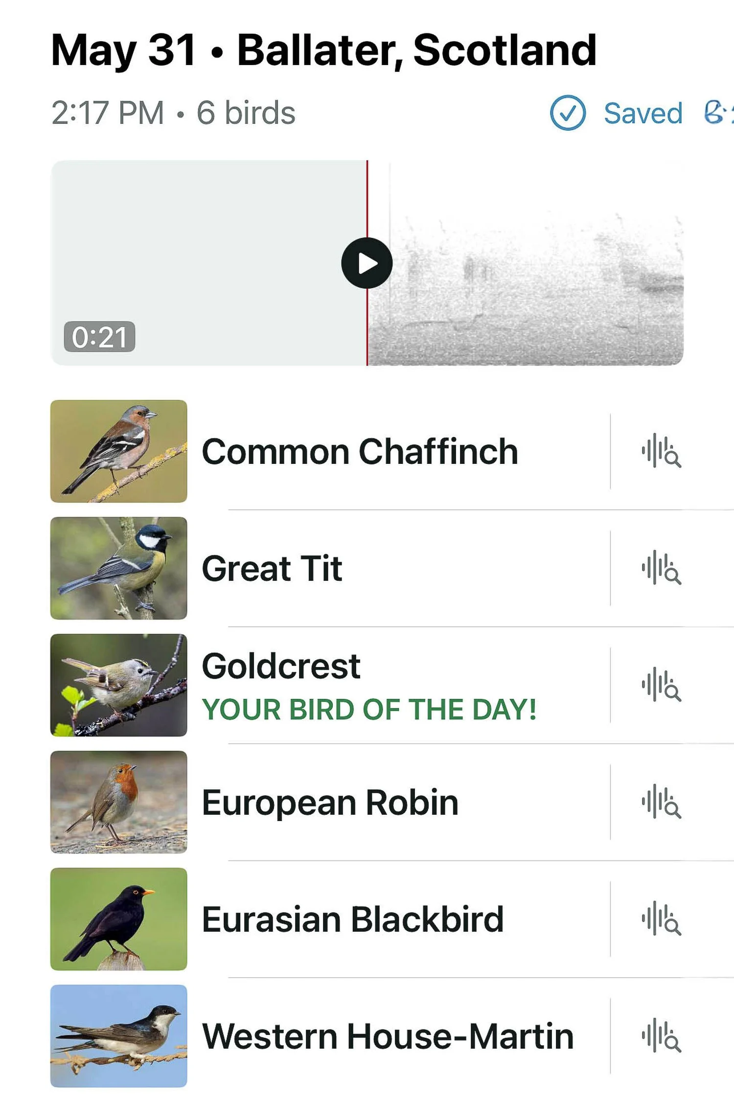 Birds I heard at Balmoral