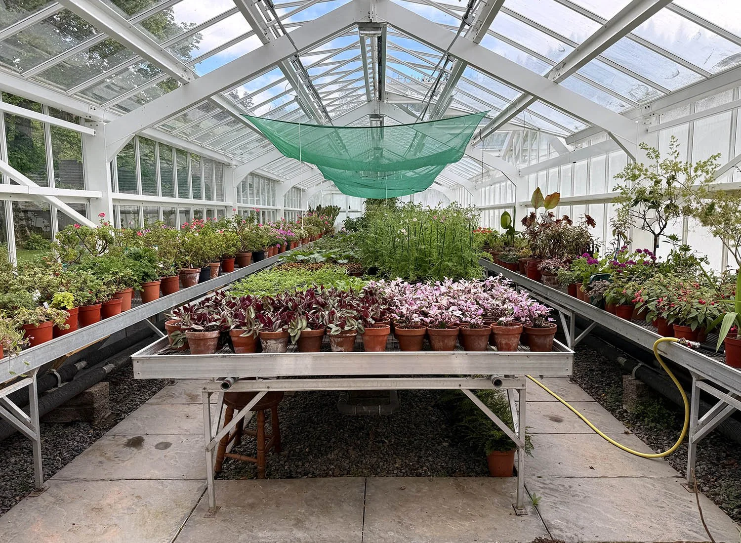 A greenhouse with many plants for the gardens