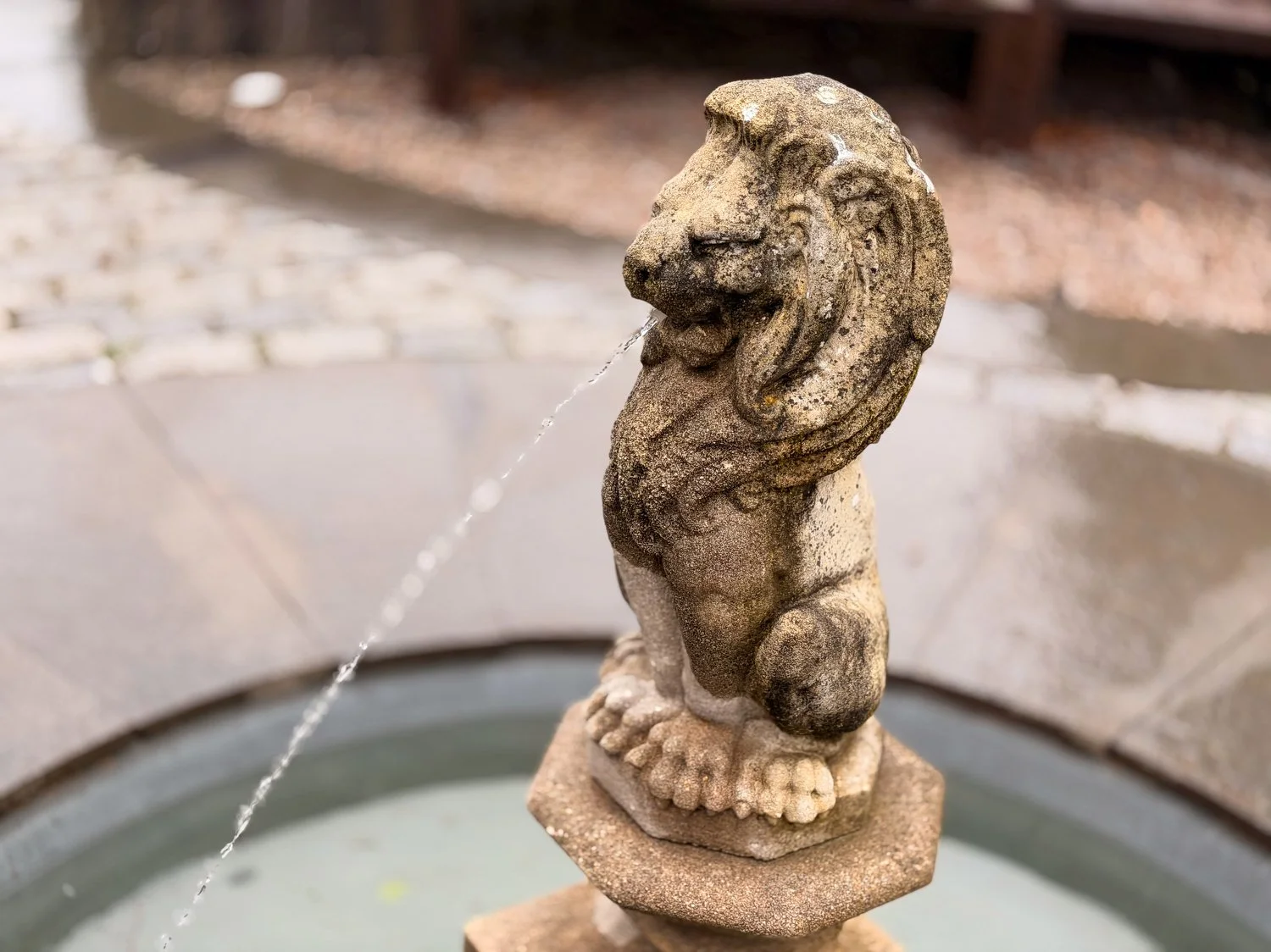 the lion is a symbol of the Bowes Lyon family at Glamis Castle