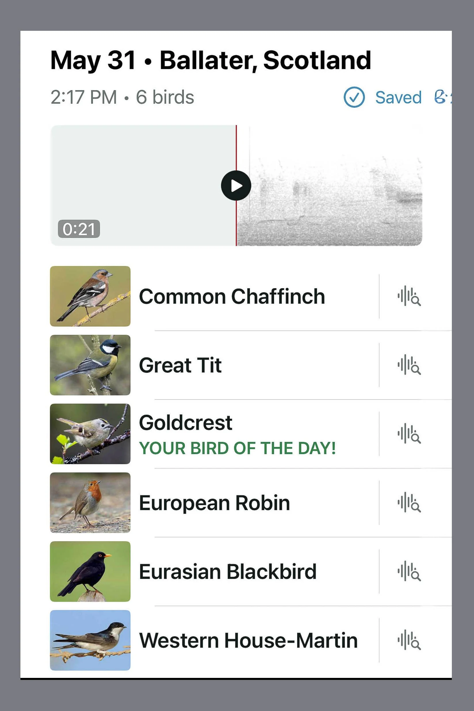 A screenshot of Birds ID'd on my Merlin App