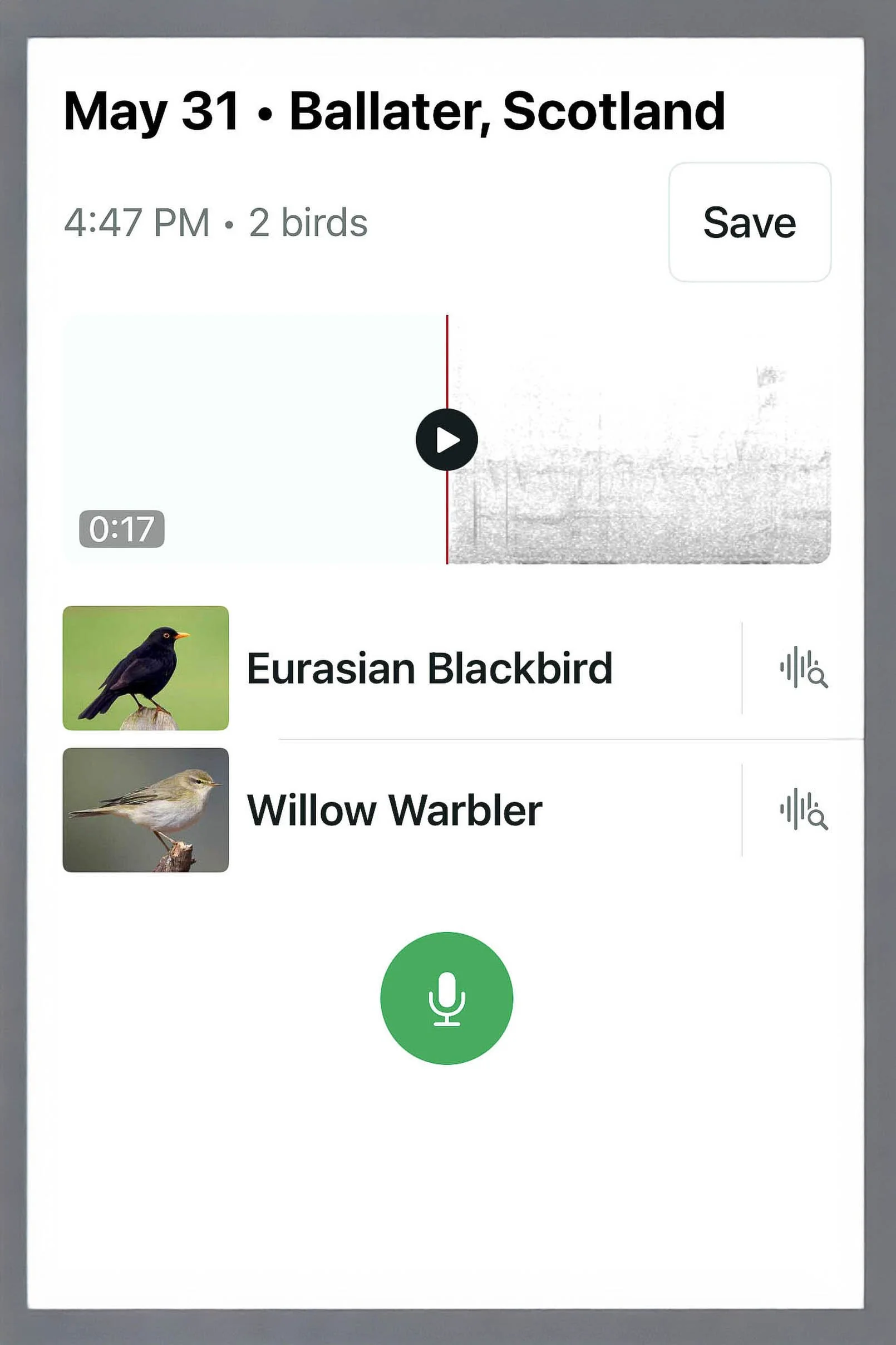 Screenshot of more birds heard at Balmoral