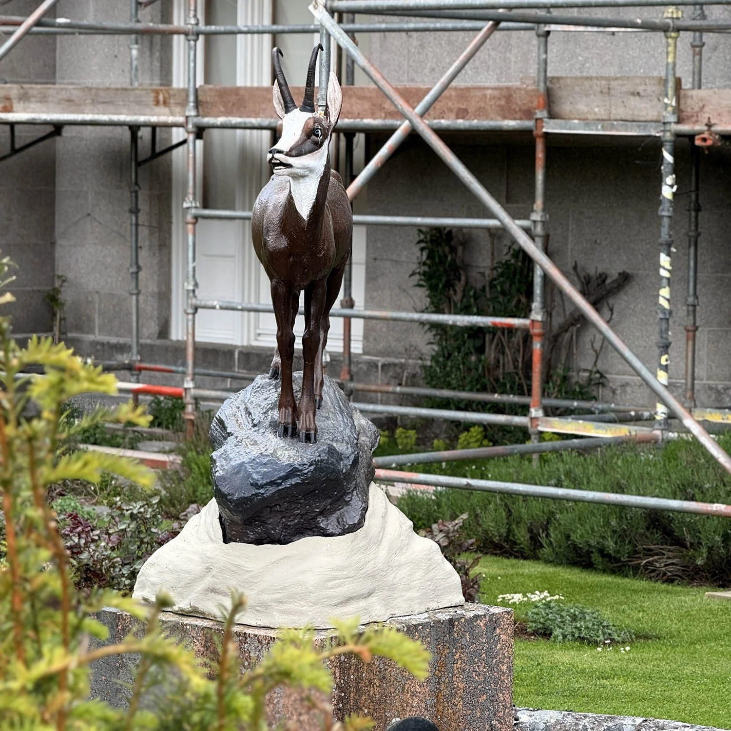 Chamois Goat statue at Balmoral
