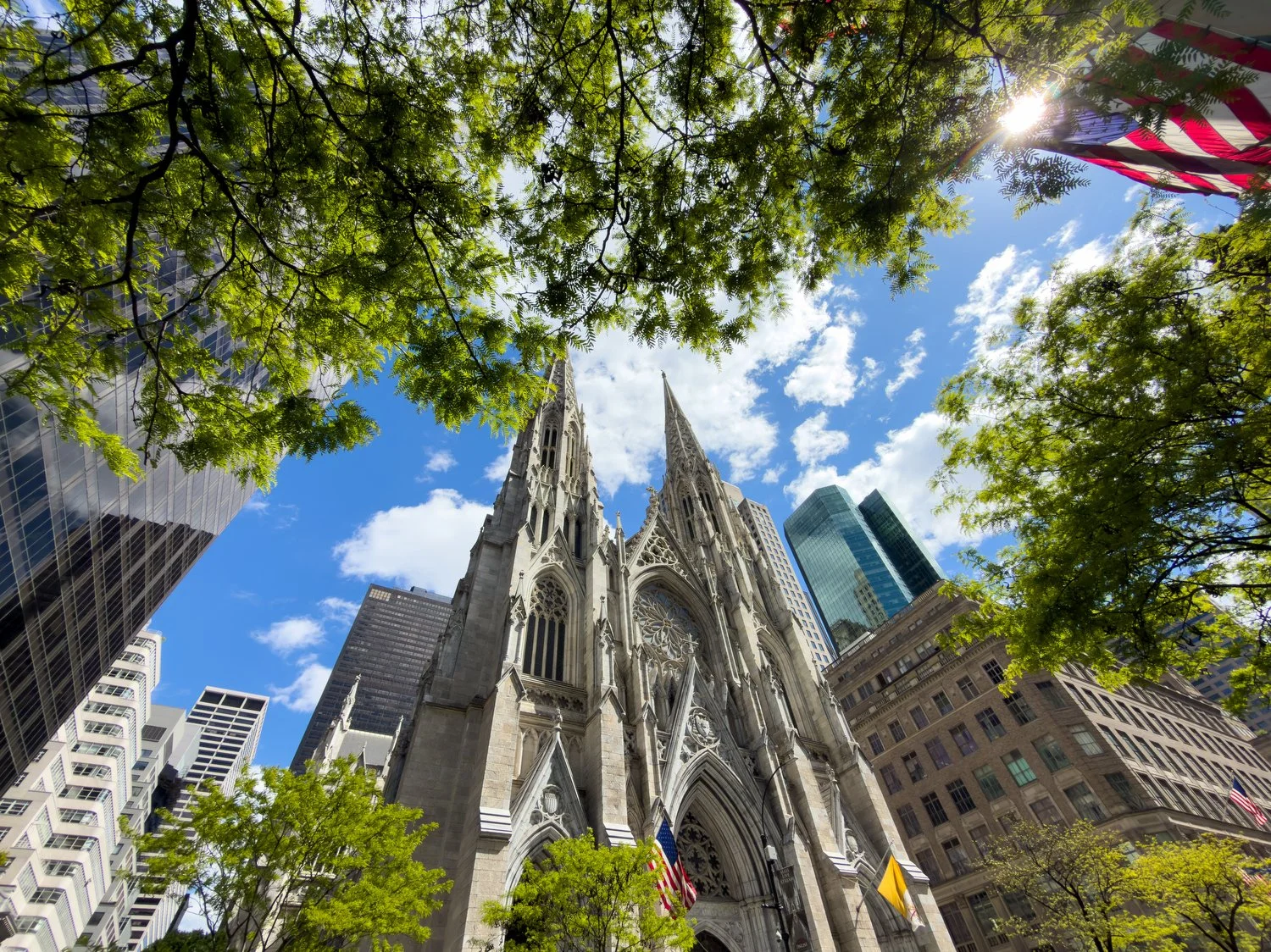 Saint Patricks Cathedral