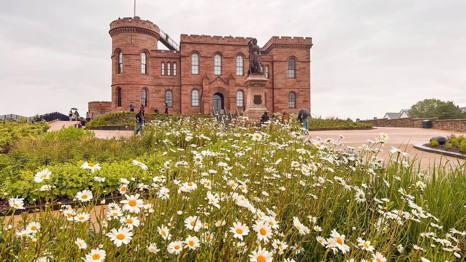 Naturalistic native gardens in bloom in front of Inverness Castle, with oxeye daisies and the Flora MacDonald statue