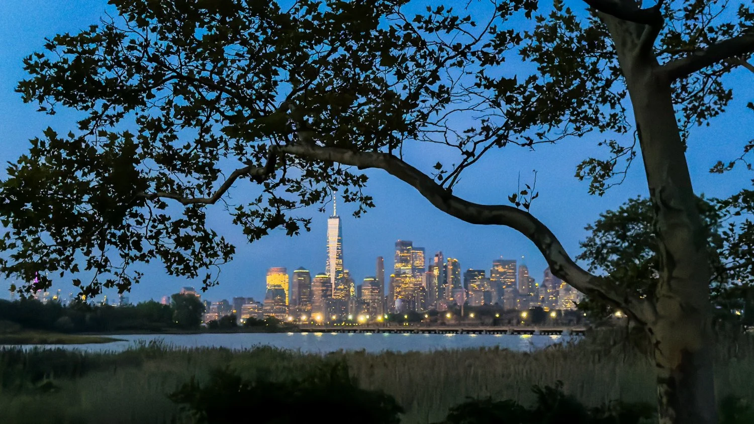 the world trade center from liberty state park