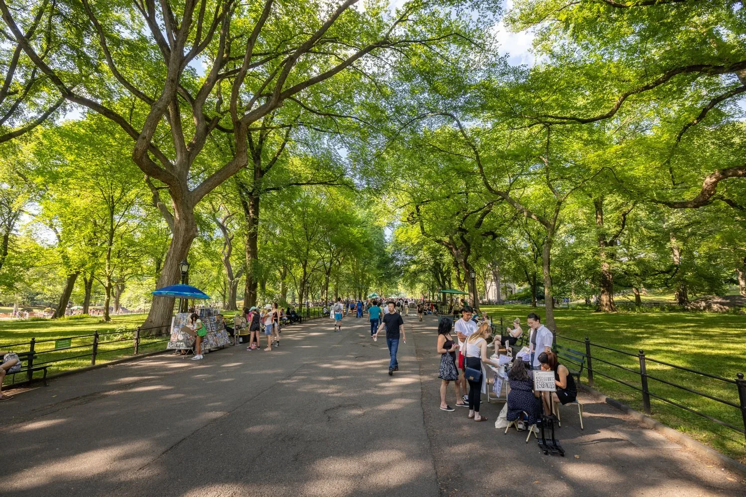 The Mall in Central Park