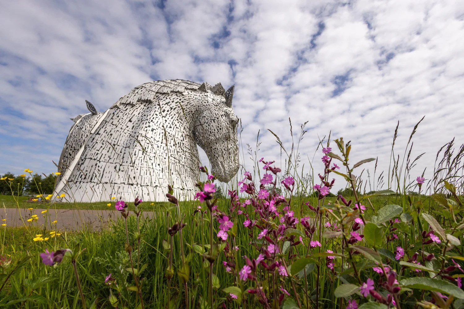 Colorful flowers in front of the Kelpies