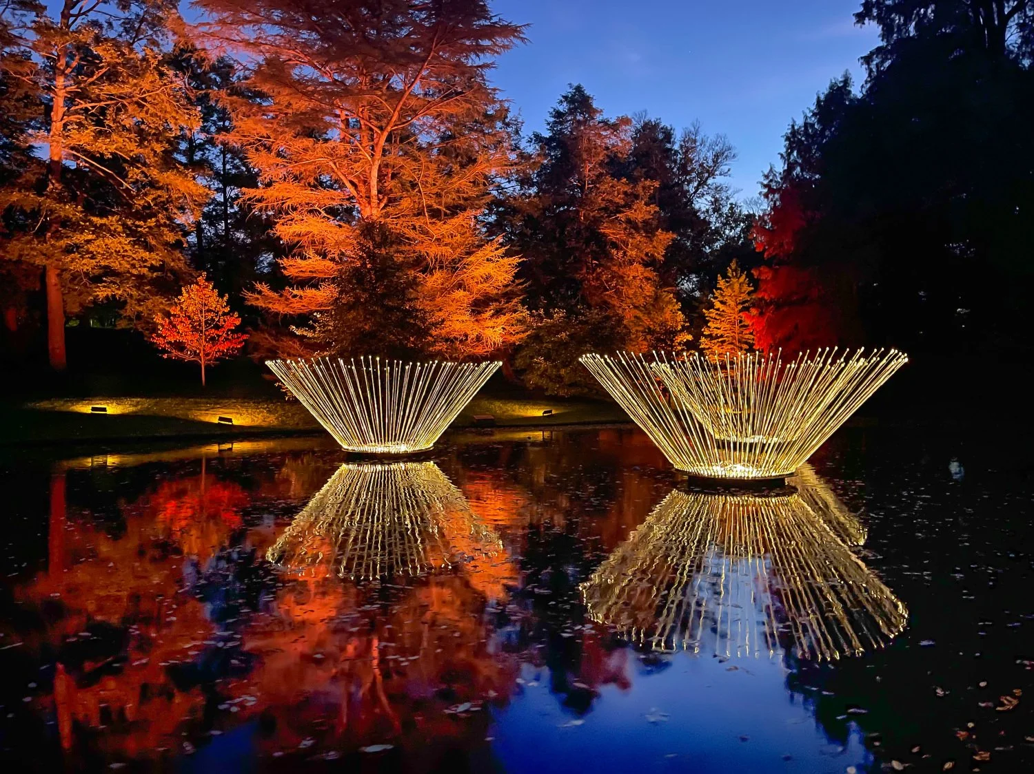 Visiting Longwood Gardens: What You Need to Know in 2026 — The Empty ...