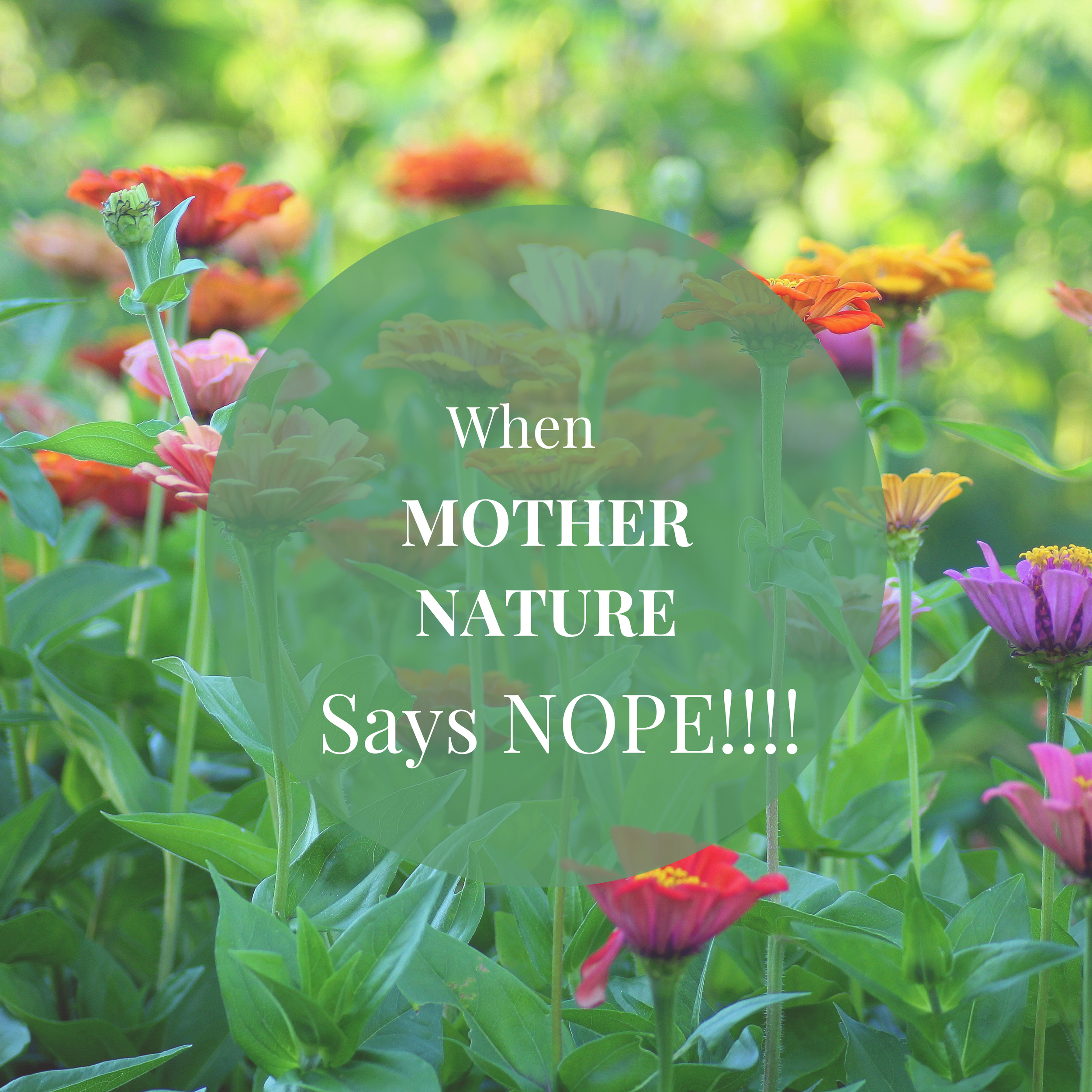 When Mother Nature Says NOPE!