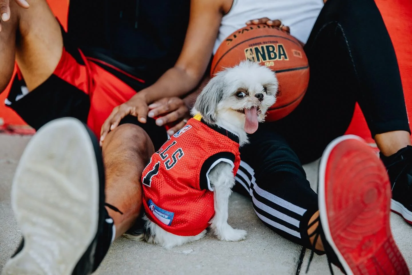 When people ask me if they can include their dog in a session, I get really excited. But then they show up with THIS FIT???? I just &lsquo;bout died. 

#charissajohnsonphotography #couplegoals #chicagophotographer #chicagocouplephotographer #dog #chi